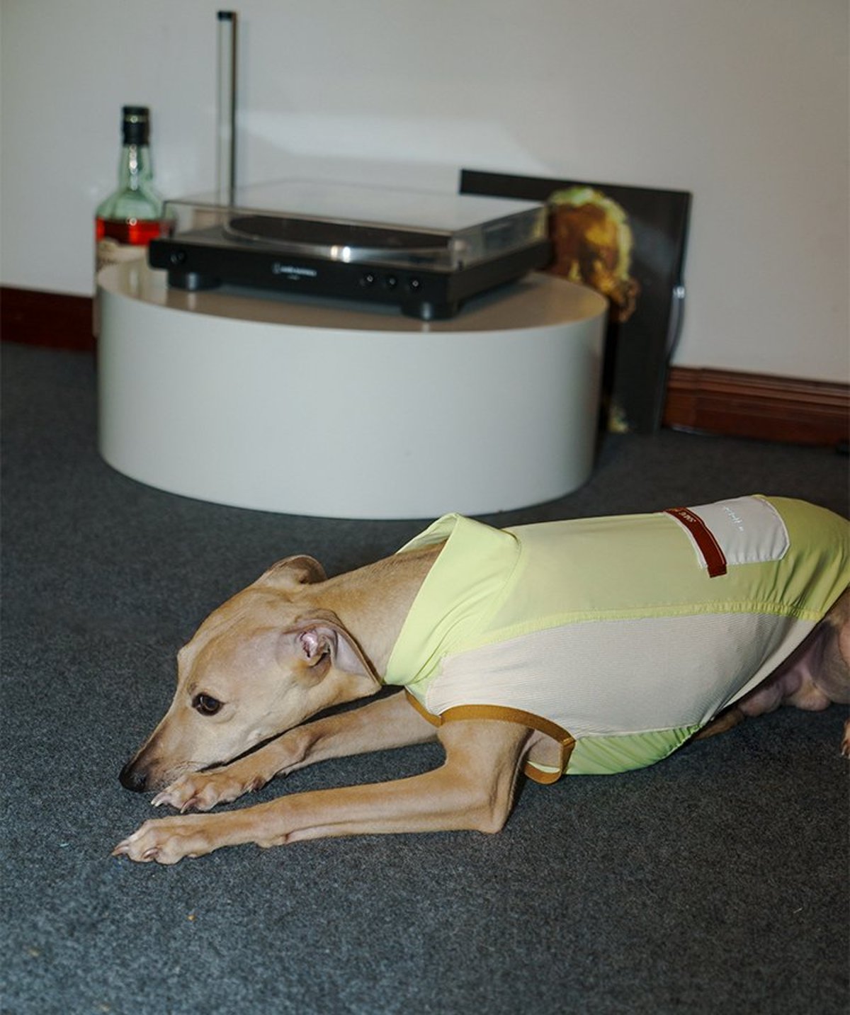 SnugHugs Stay Cool Vest 34