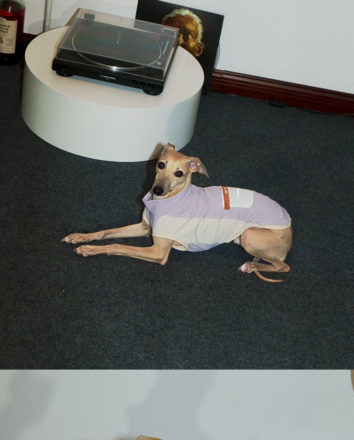 SnugHugs Stay Cool Vest 21
