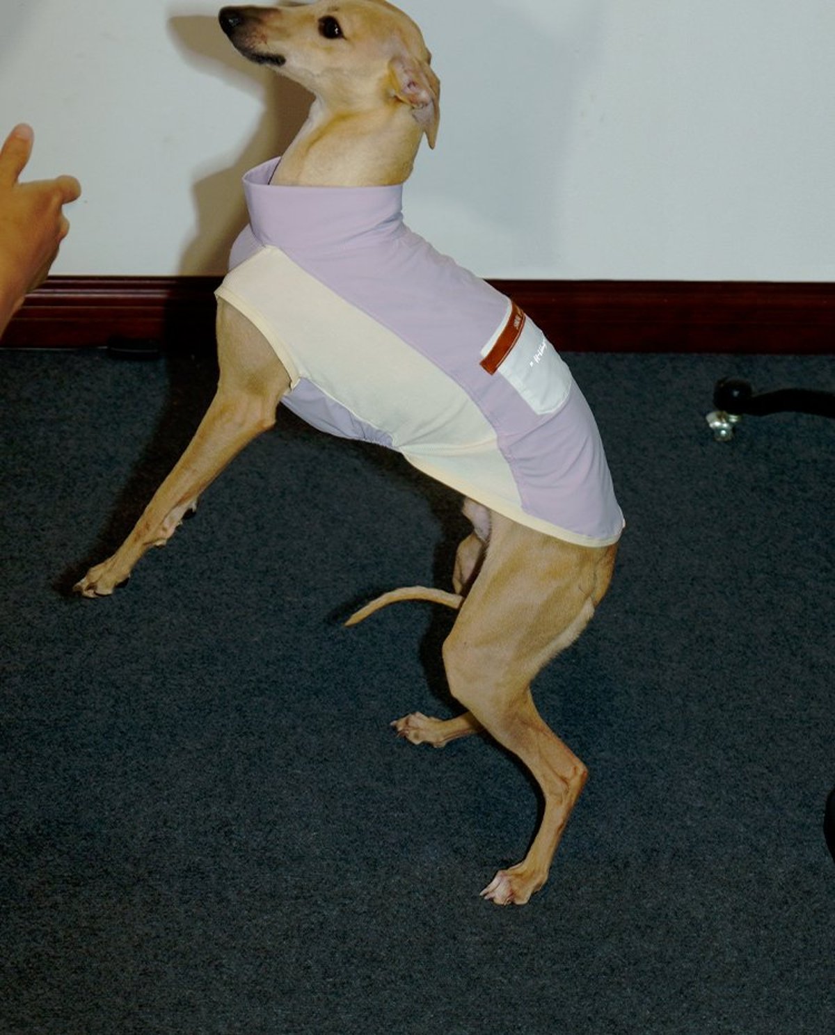 SnugHugs Stay Cool Vest 22