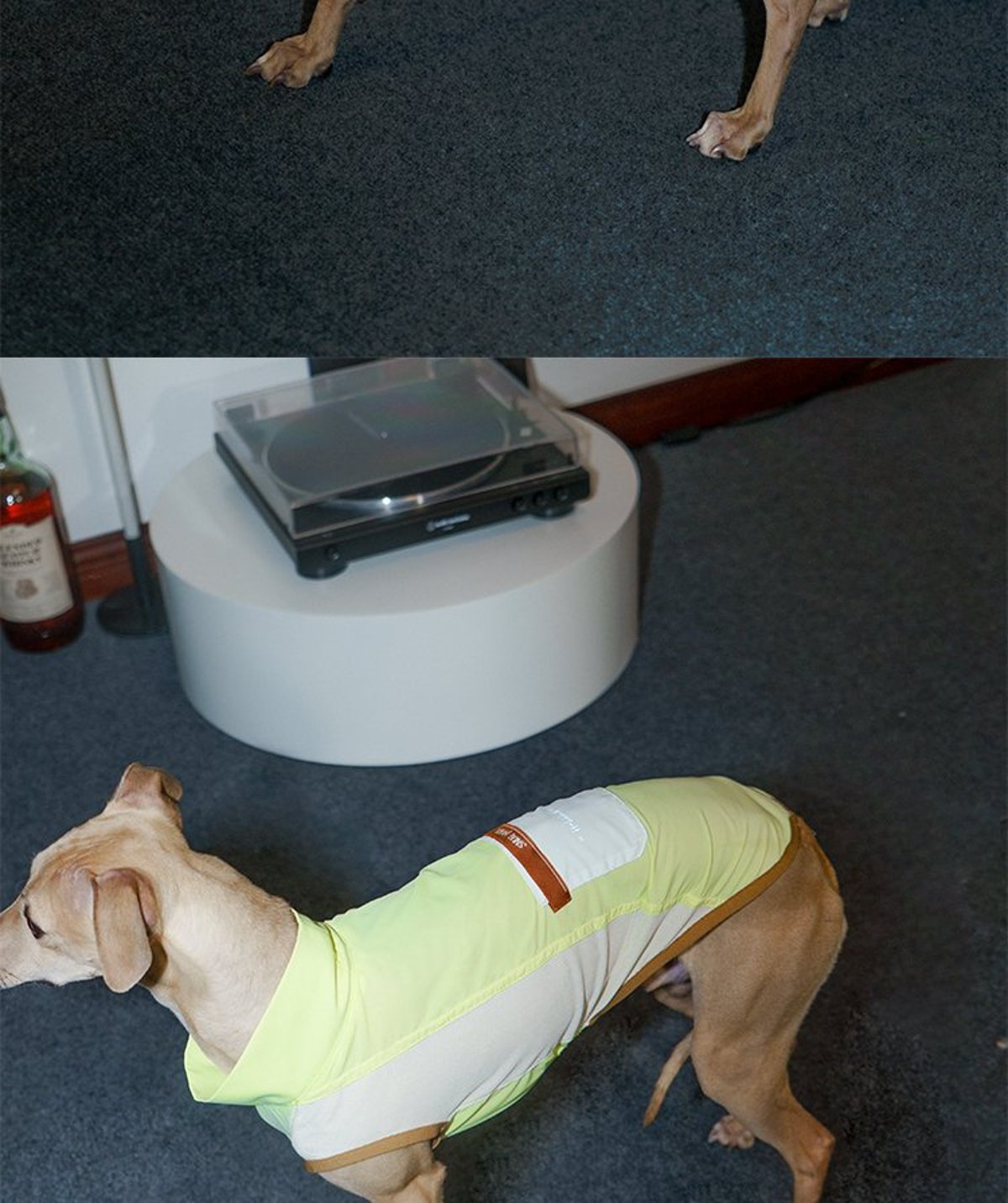 SnugHugs Stay Cool Vest 36