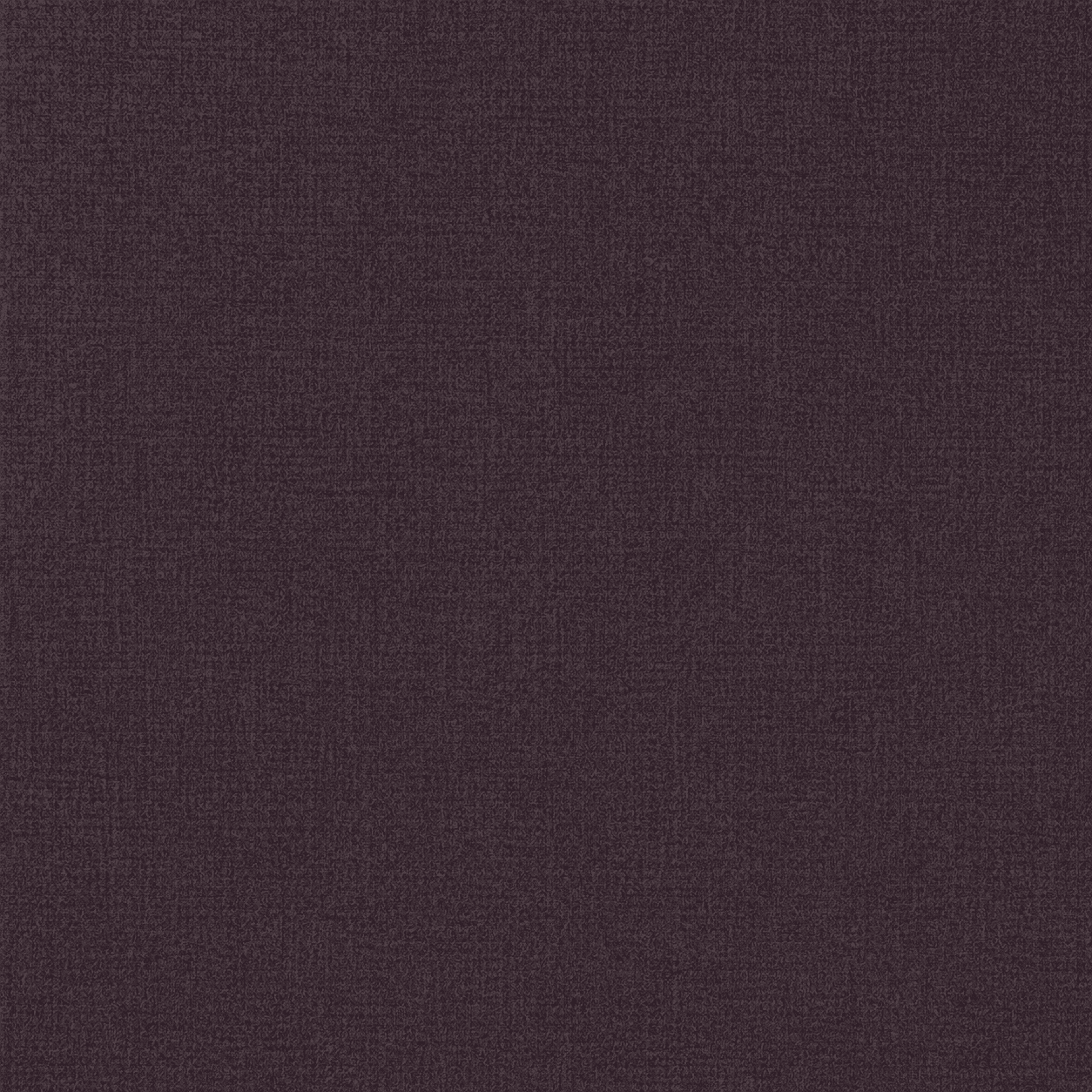 Nightshade Purple