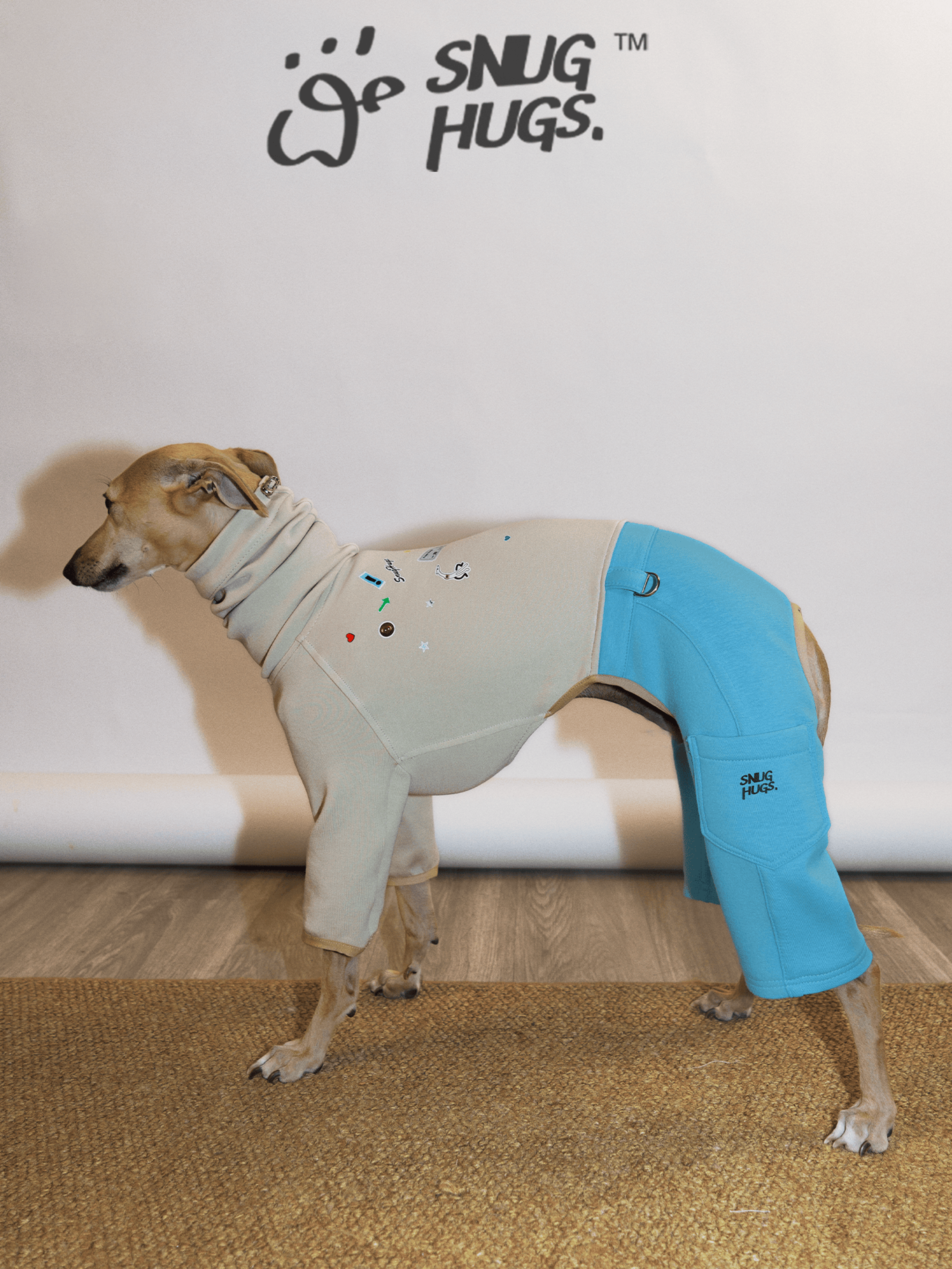 SnugHugs Air-Layer Modal Dog Bodysuit for Italian Greyhounds & Whippets Blue Silt 4