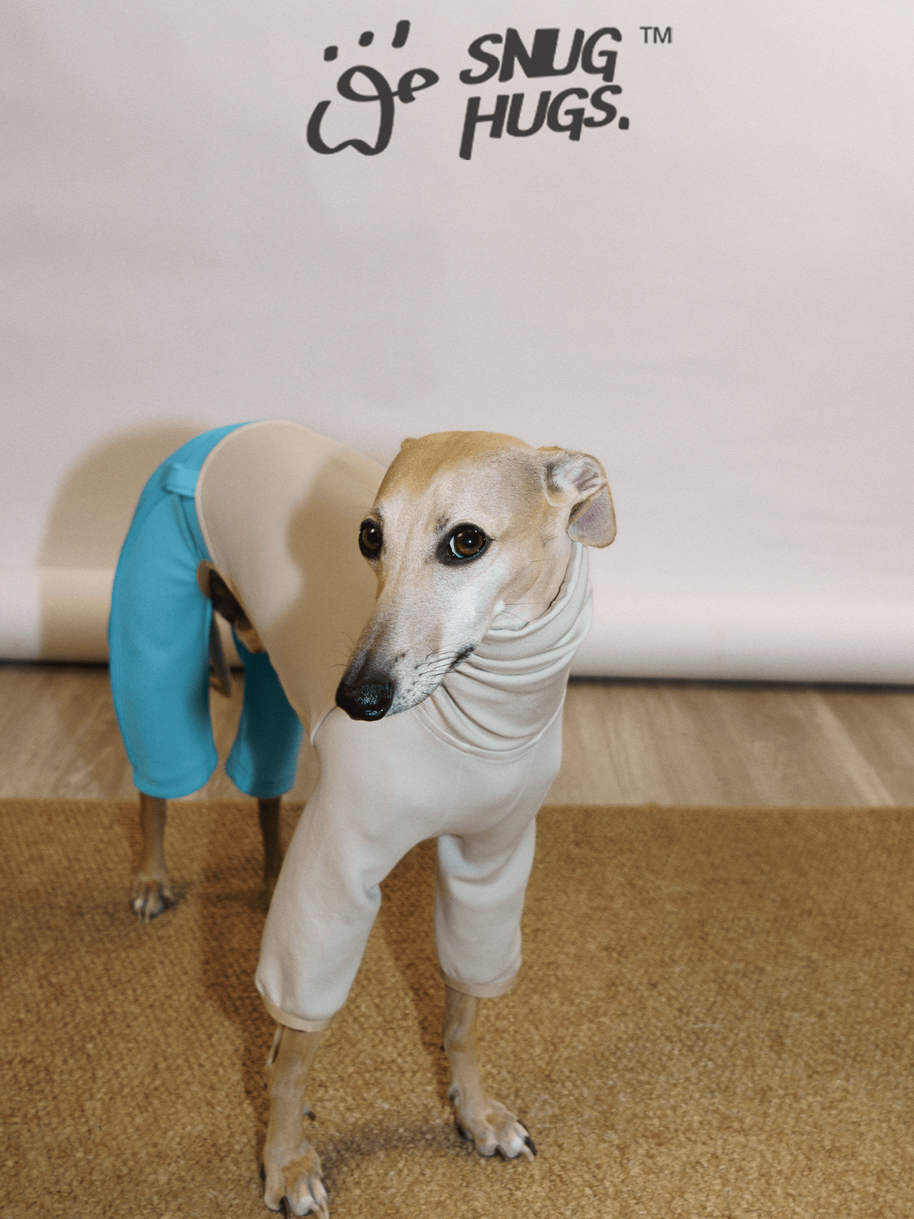 SnugHugs Air-Layer Modal Dog Bodysuit for Italian Greyhounds & Whippets Blue Silt 2