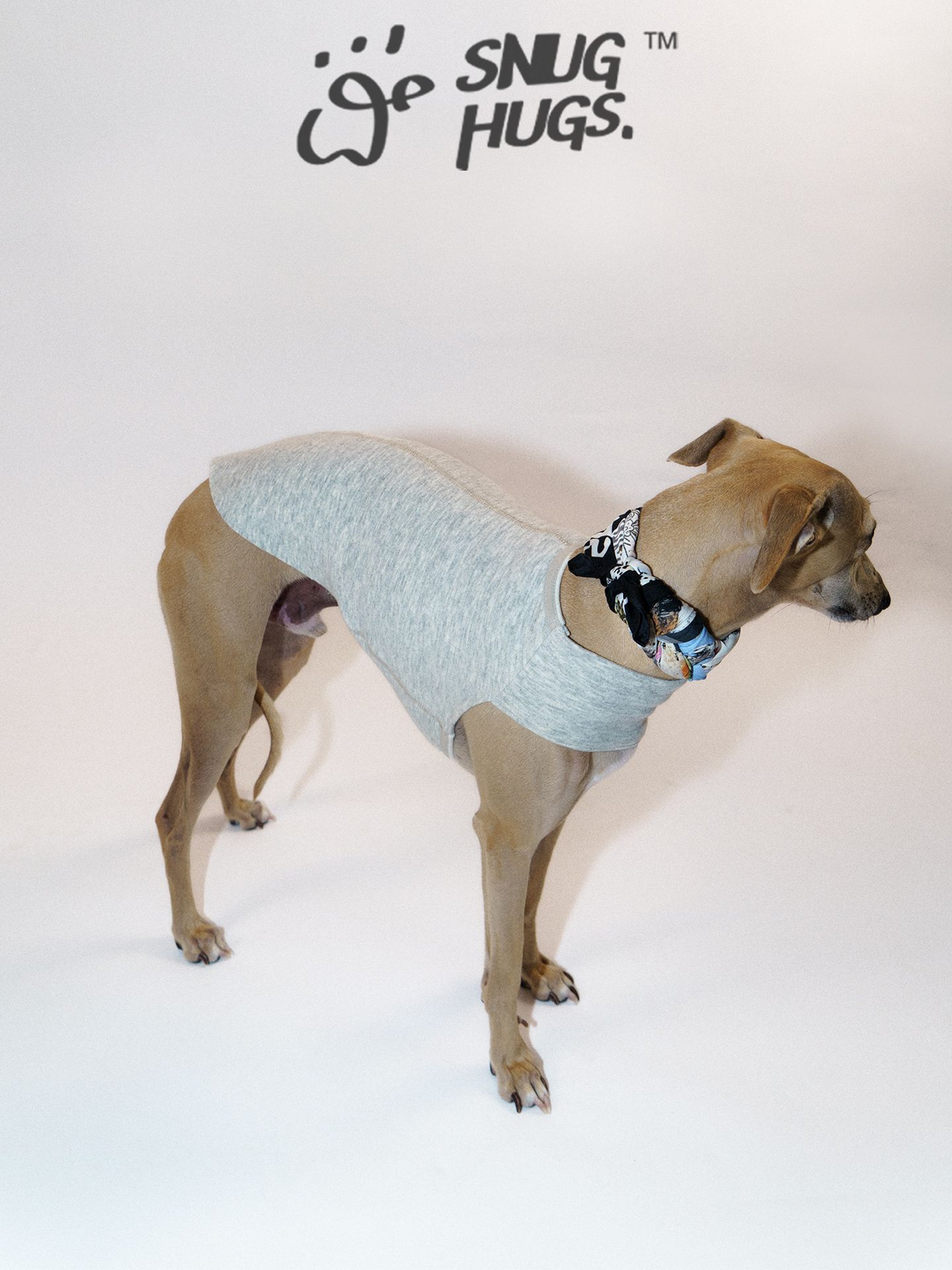 SnugHugs Reversible Bamboo Blend Dog Vest – MISTY Snow White 3