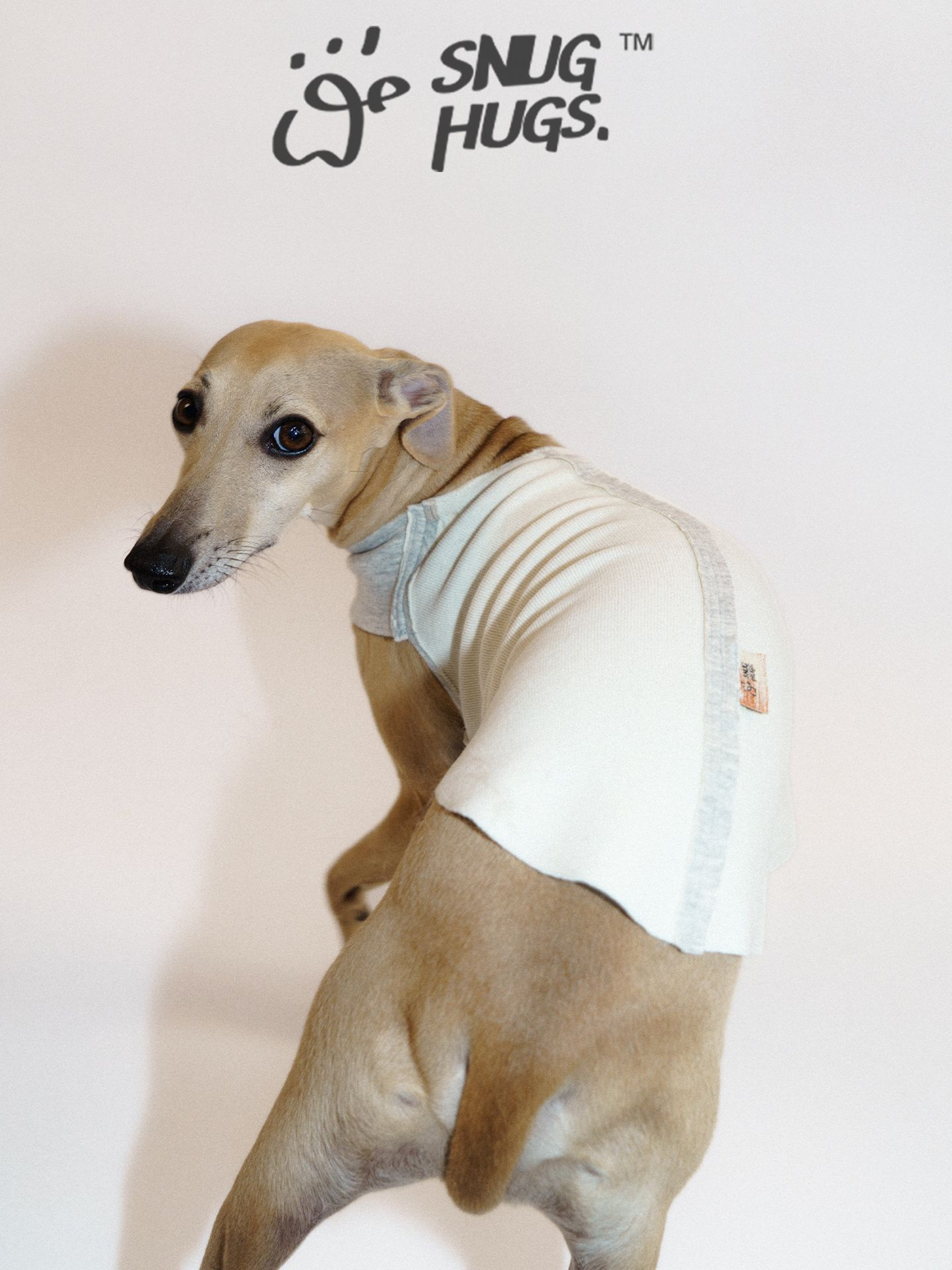 SnugHugs Reversible Bamboo Blend Dog Vest – MISTY Snow White 7