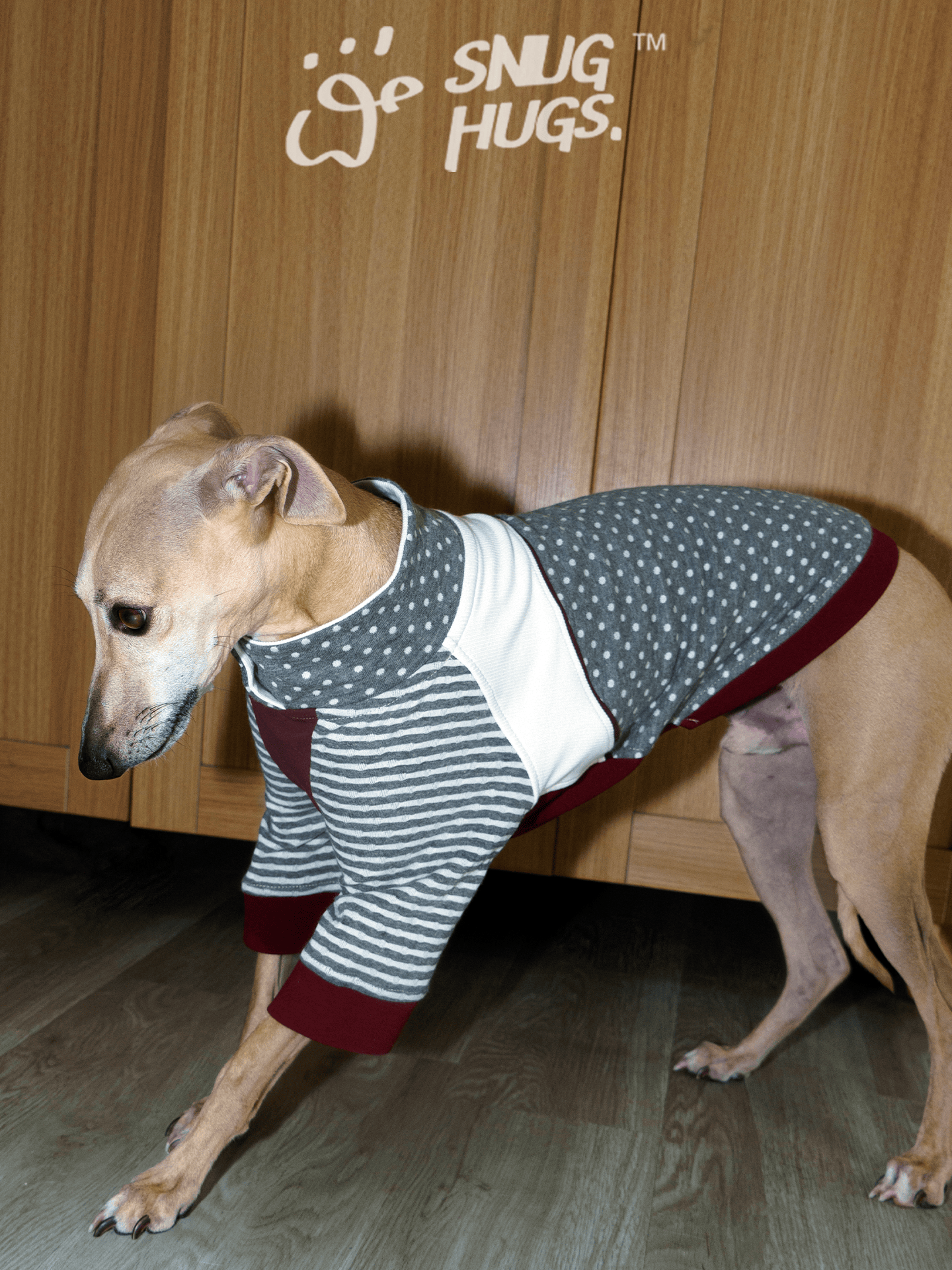 Retro Modal Dog Polo Shirt for All Breeds | Fleck