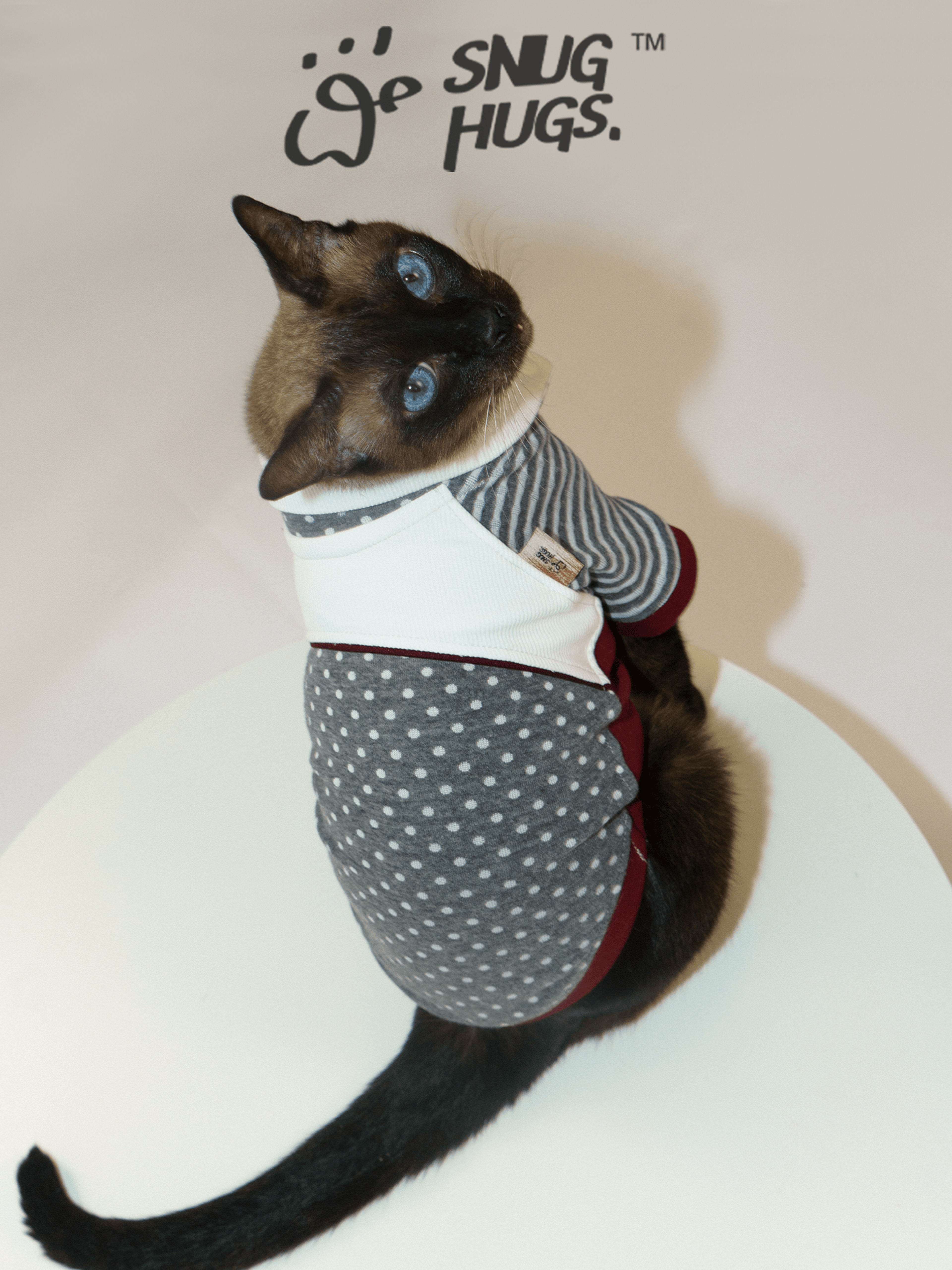 SnugHugs Retro Modal Dog Polo Shirt for All Breeds | Fleck Polka Dot Colorblock 2