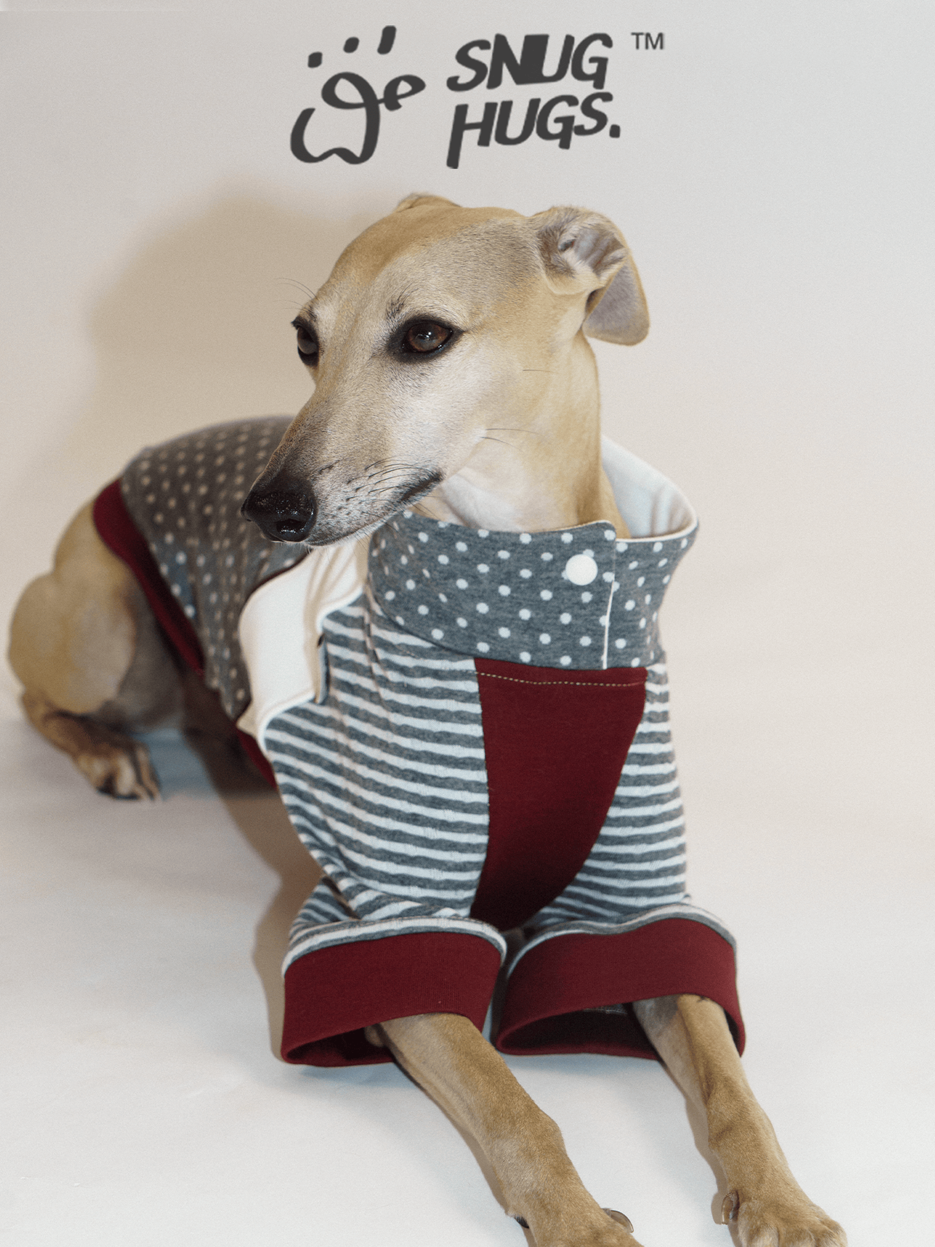 SnugHugs Retro Modal Dog Polo Shirt for All Breeds | Fleck Polka Dot Colorblock 5