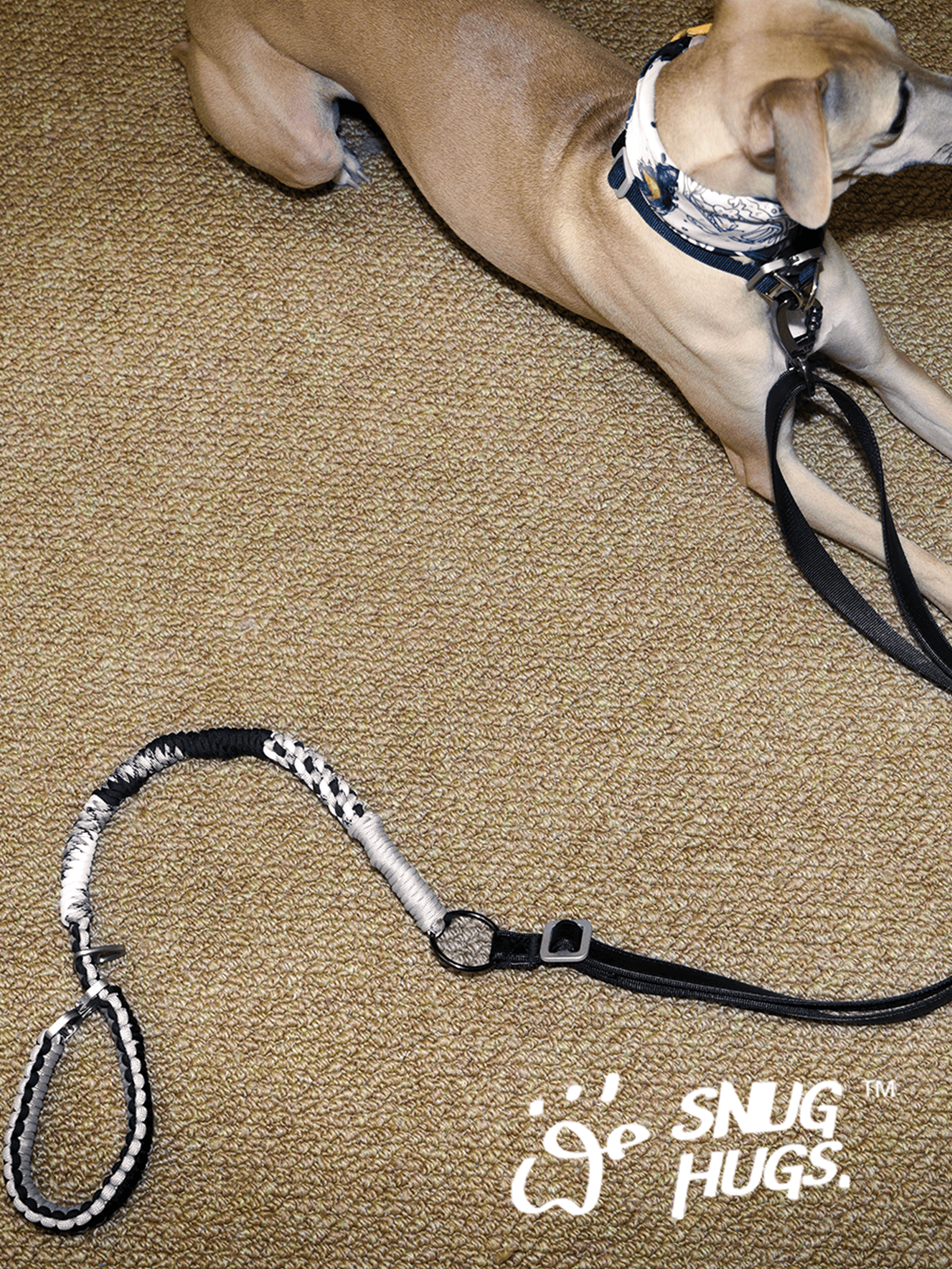 SnugHugs Handwoven Woven Dog Leash with Wide Handle – Black & White Black & White 4