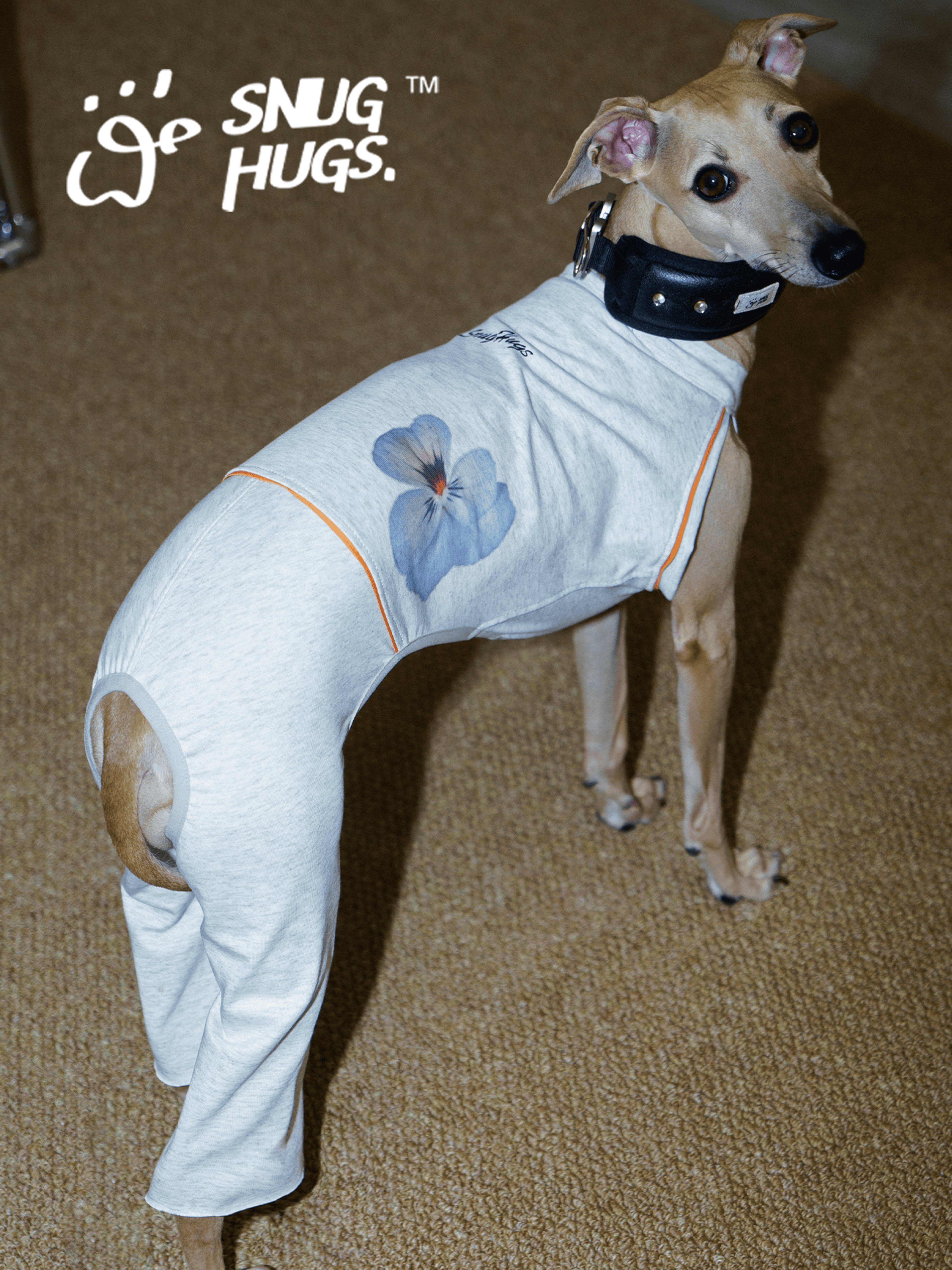 Coolmax® Dog Bodysuit with Flared Pants for Italian Greyhounds & Whippets