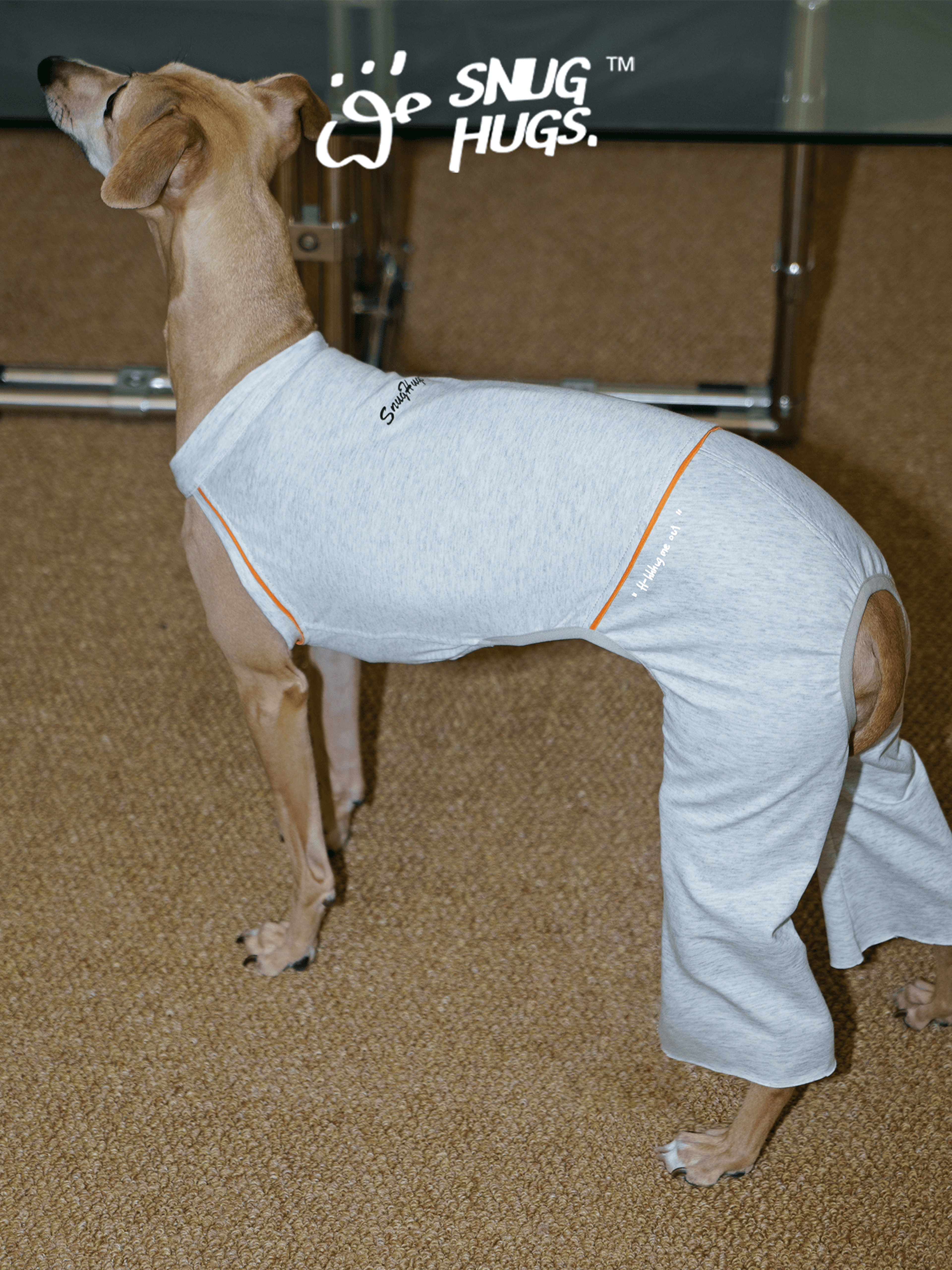 SnugHugs Coolmax® Dog Bodysuit with Flared Pants for Italian Greyhounds & Whippets Heather Gray 4
