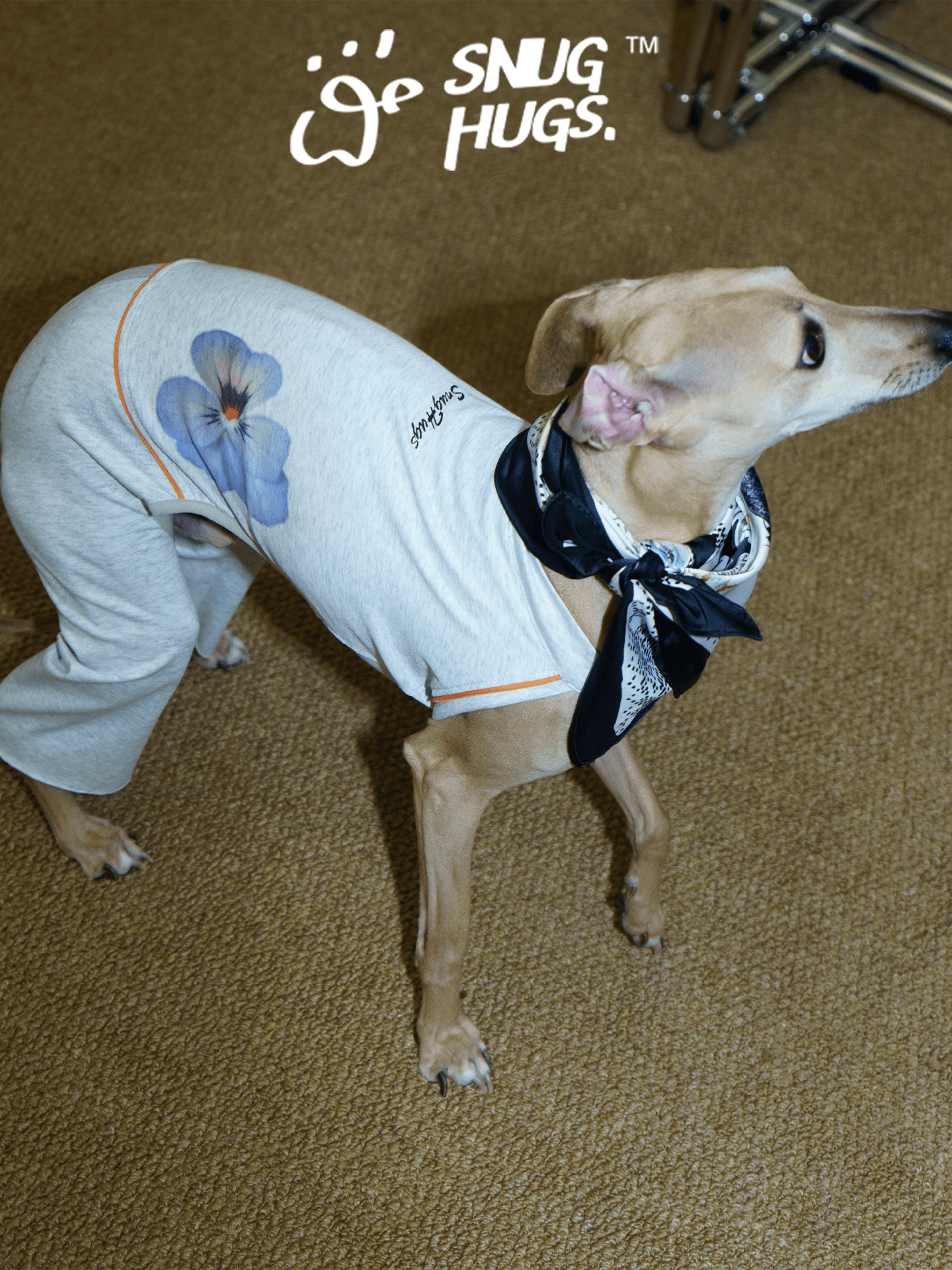SnugHugs Coolmax® Dog Bodysuit with Flared Pants for Italian Greyhounds & Whippets Heather Gray 2