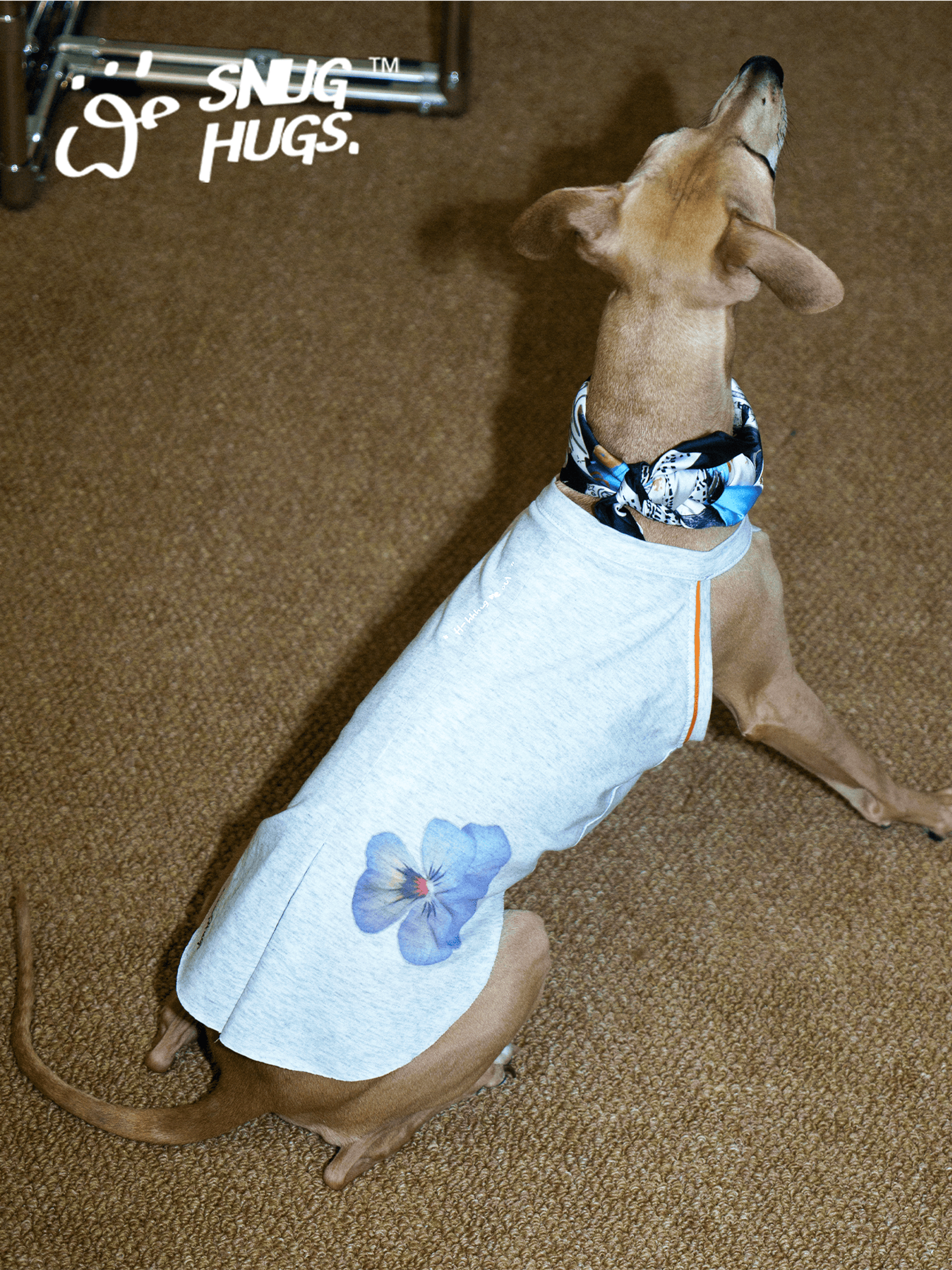 SnugHugs Floral Coolmax Dog Vest | UPF 40+ | All Breeds Floral Vest 5