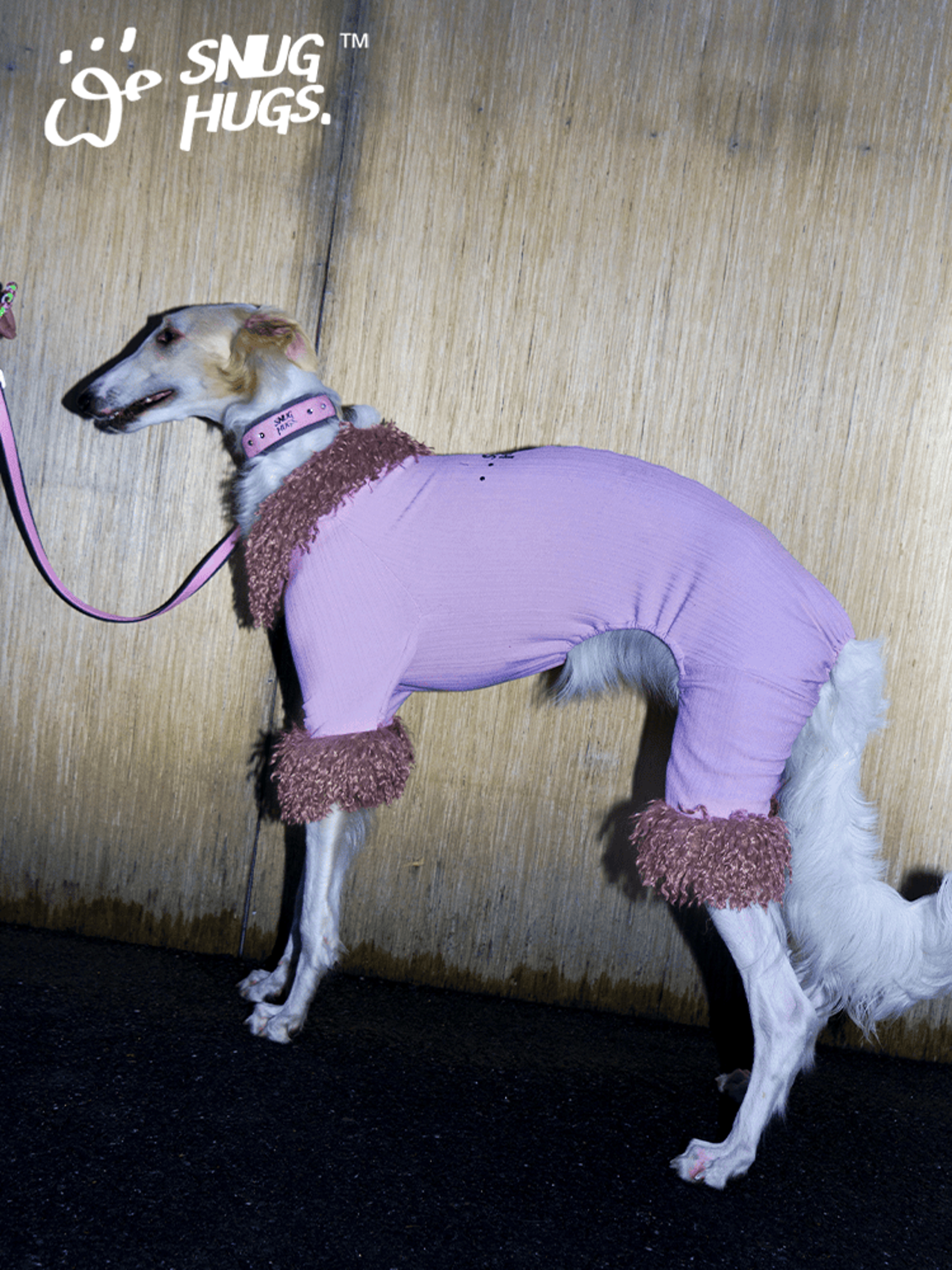 SnugHugs Winter Plush Dog Jumpsuit with Detachable Faux Fur Collar Fluffy Eggplant 3