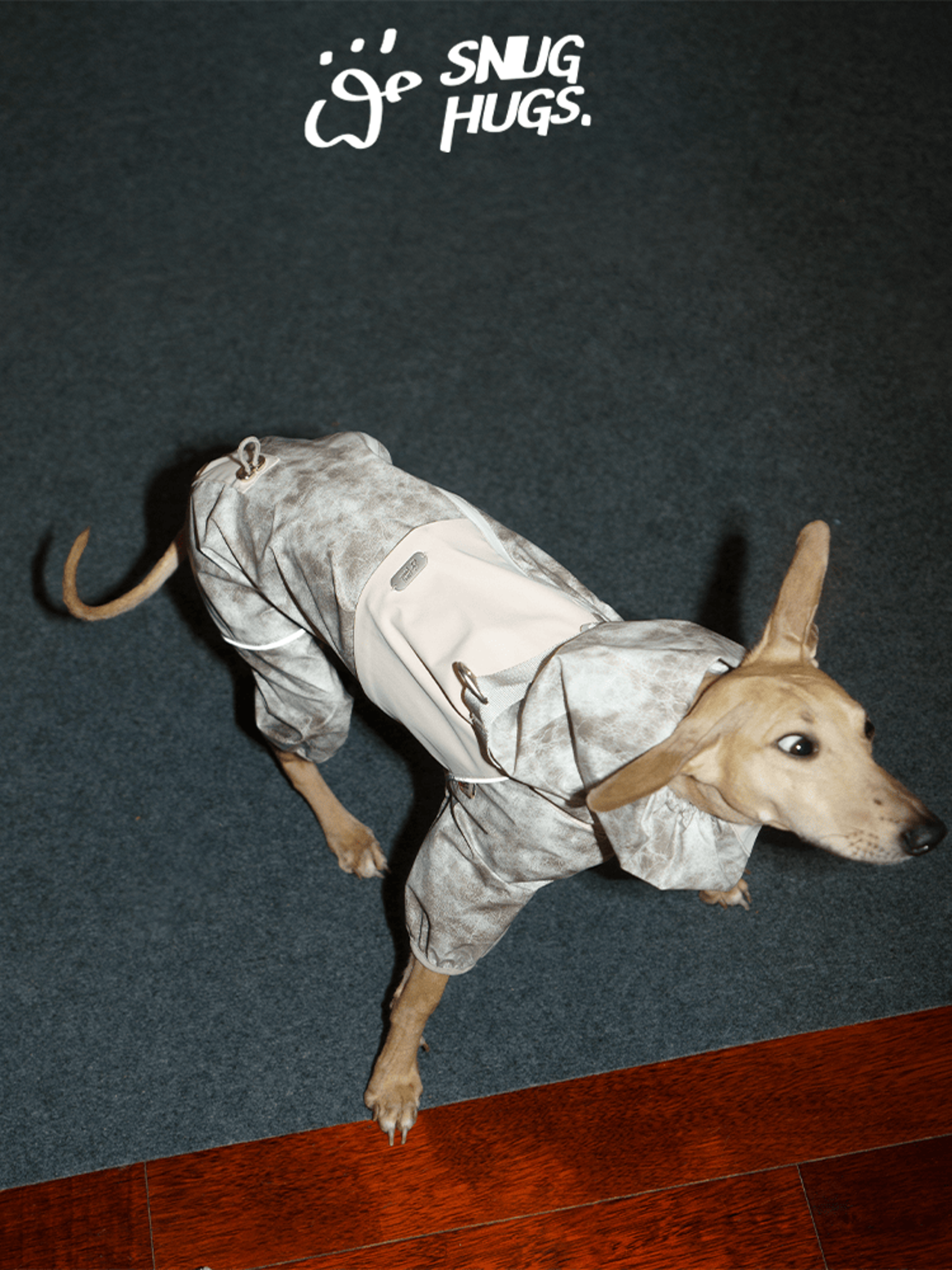 Full-Coverage Dog Rain Jacket & Windbreaker