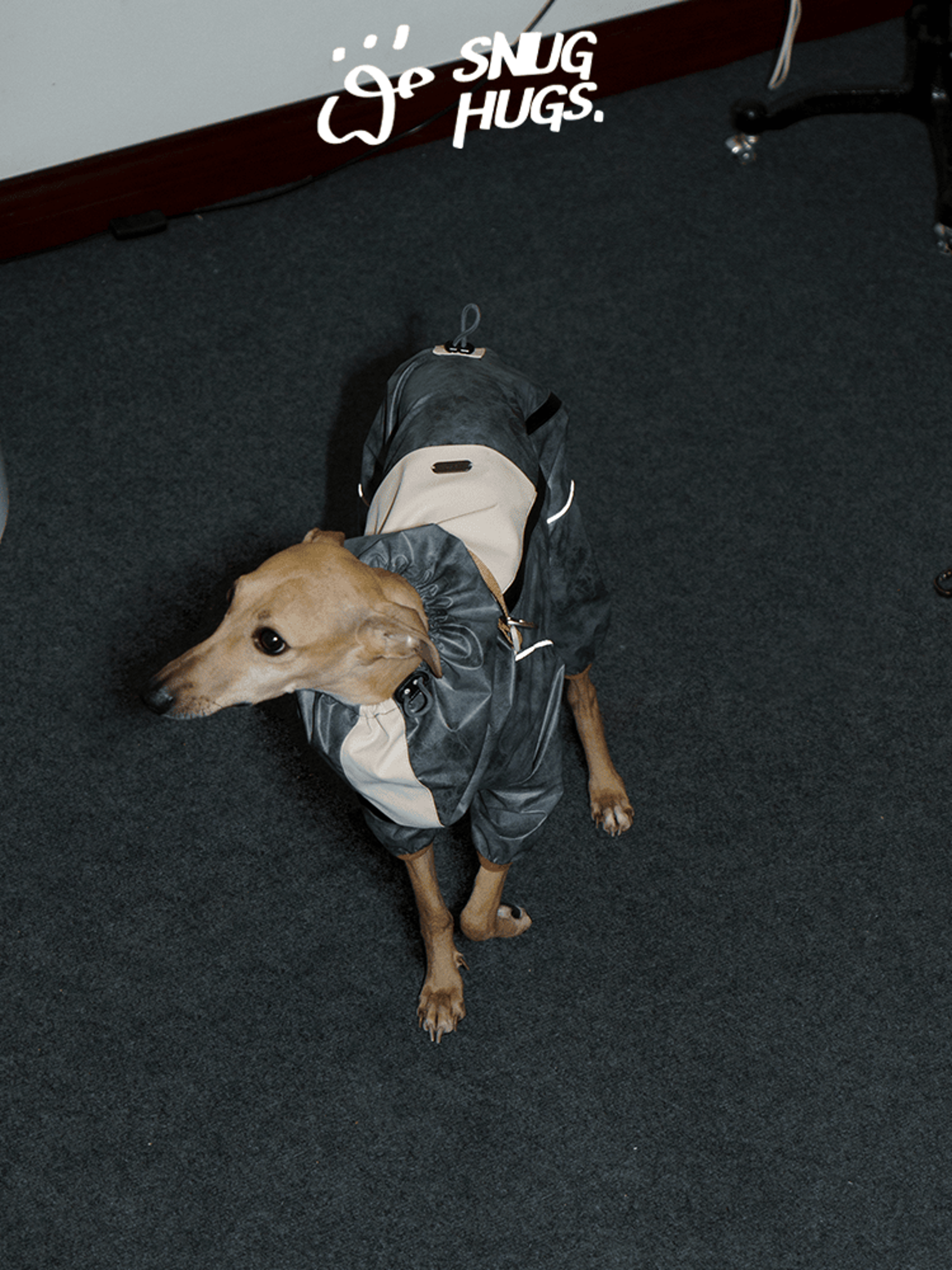 SnugHugs Full-Coverage Dog Rain Jacket & Windbreaker Midnight Ocean 1