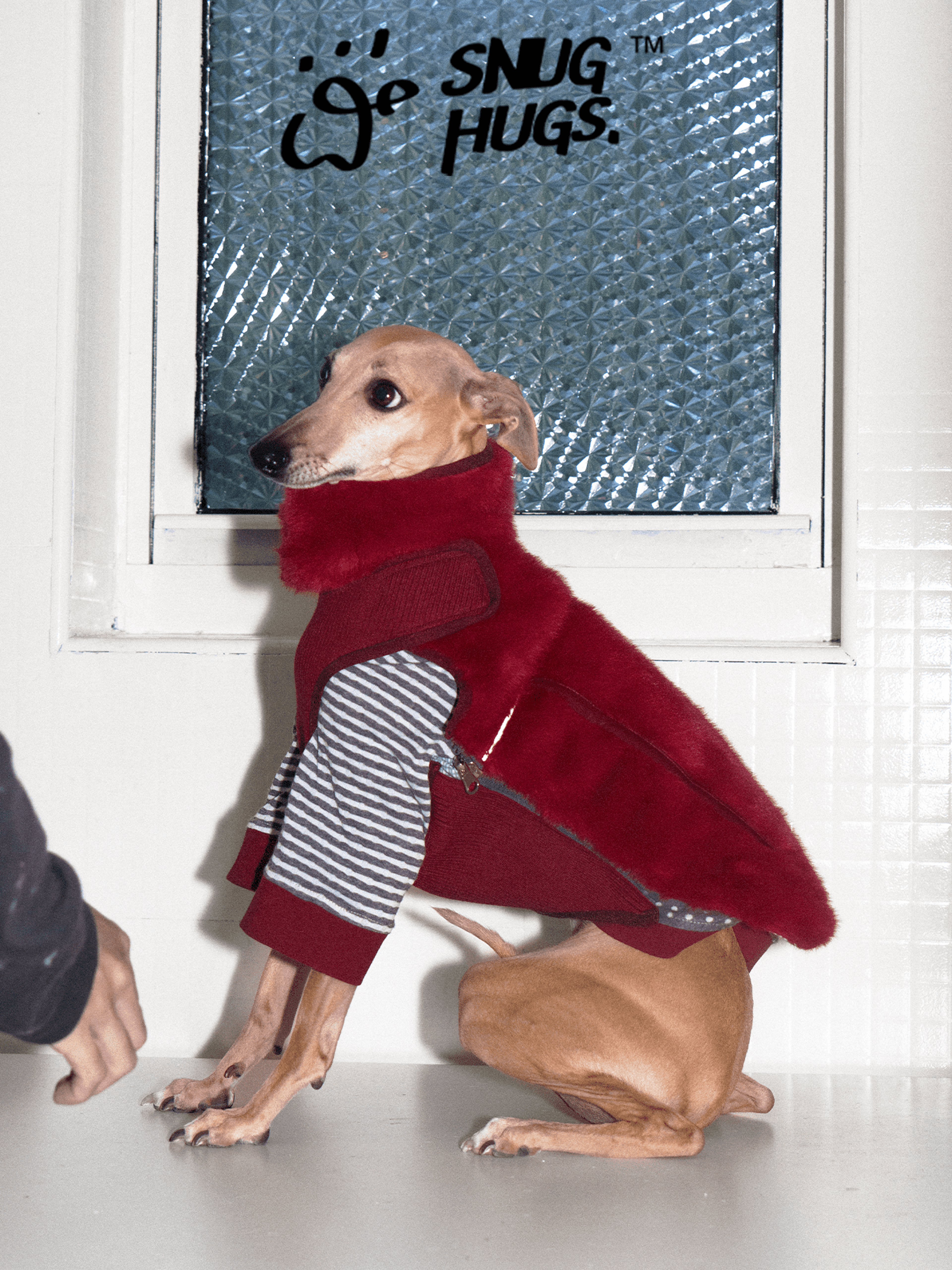 Reversible Insulated Dog Vest with Eco Faux Fur