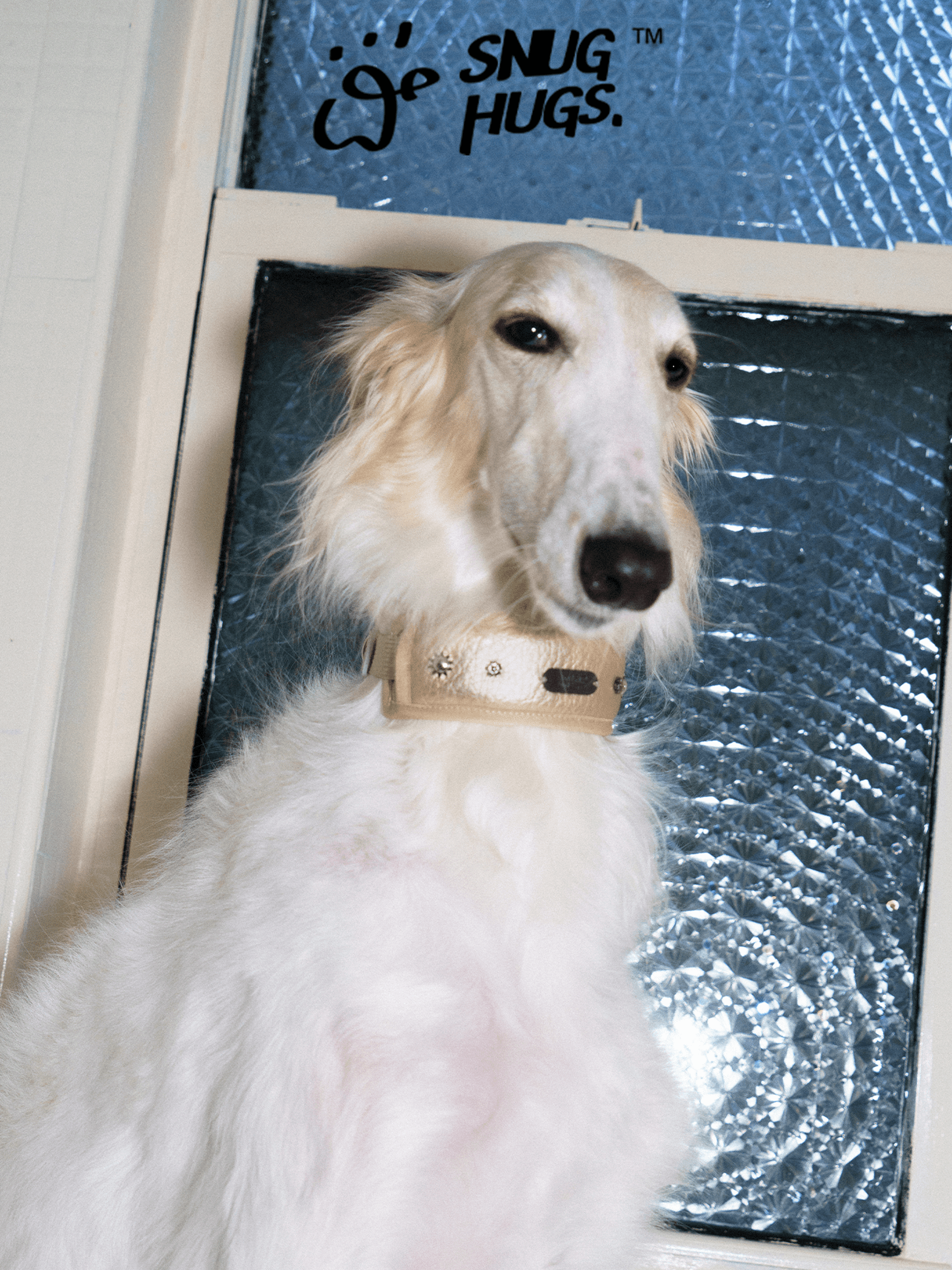 Wide Breathable Dog Collar – Candlelight Gold