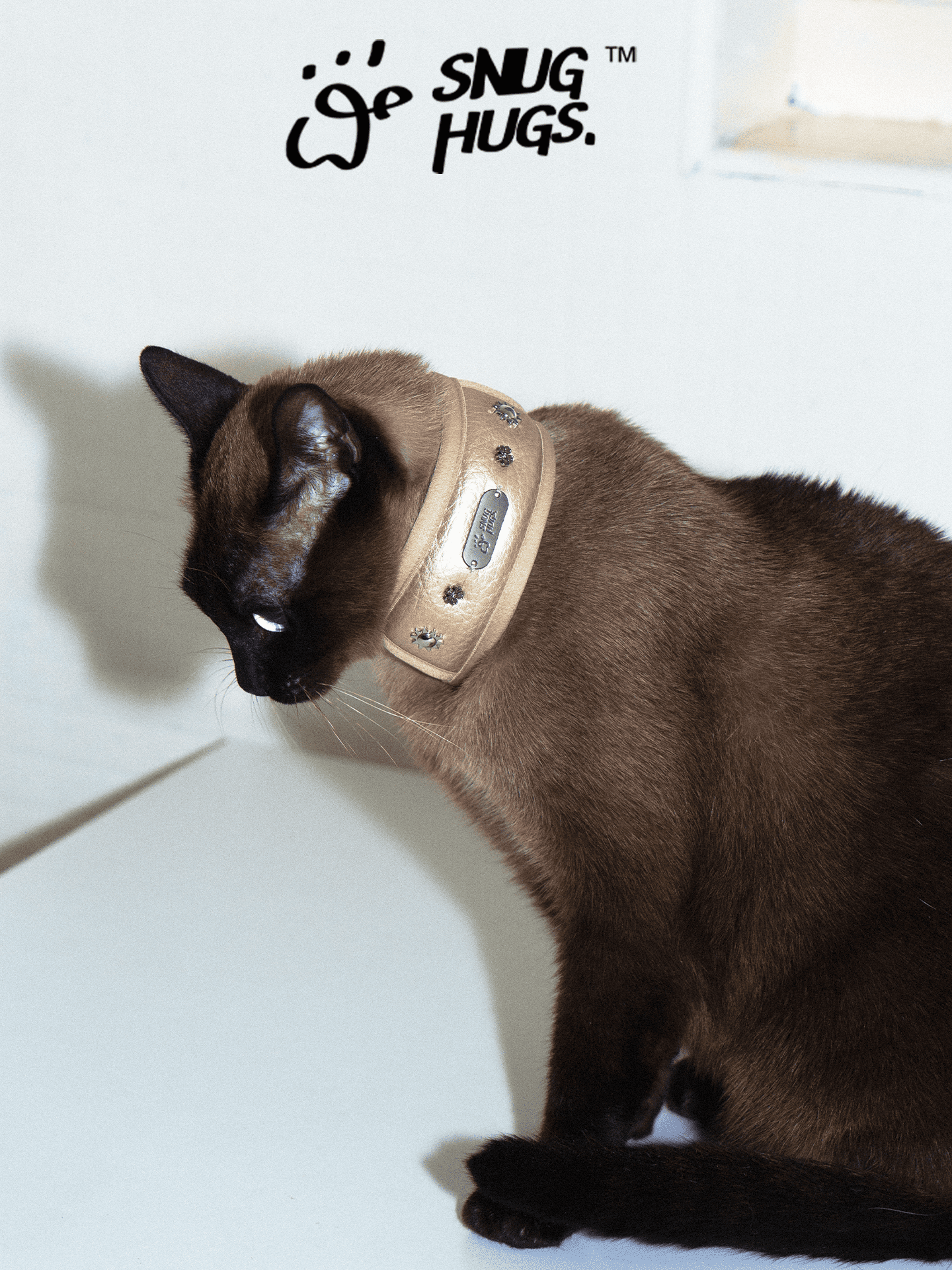 SnugHugs Wide Breathable Dog Collar – Candlelight Gold Candlelight Gold 5