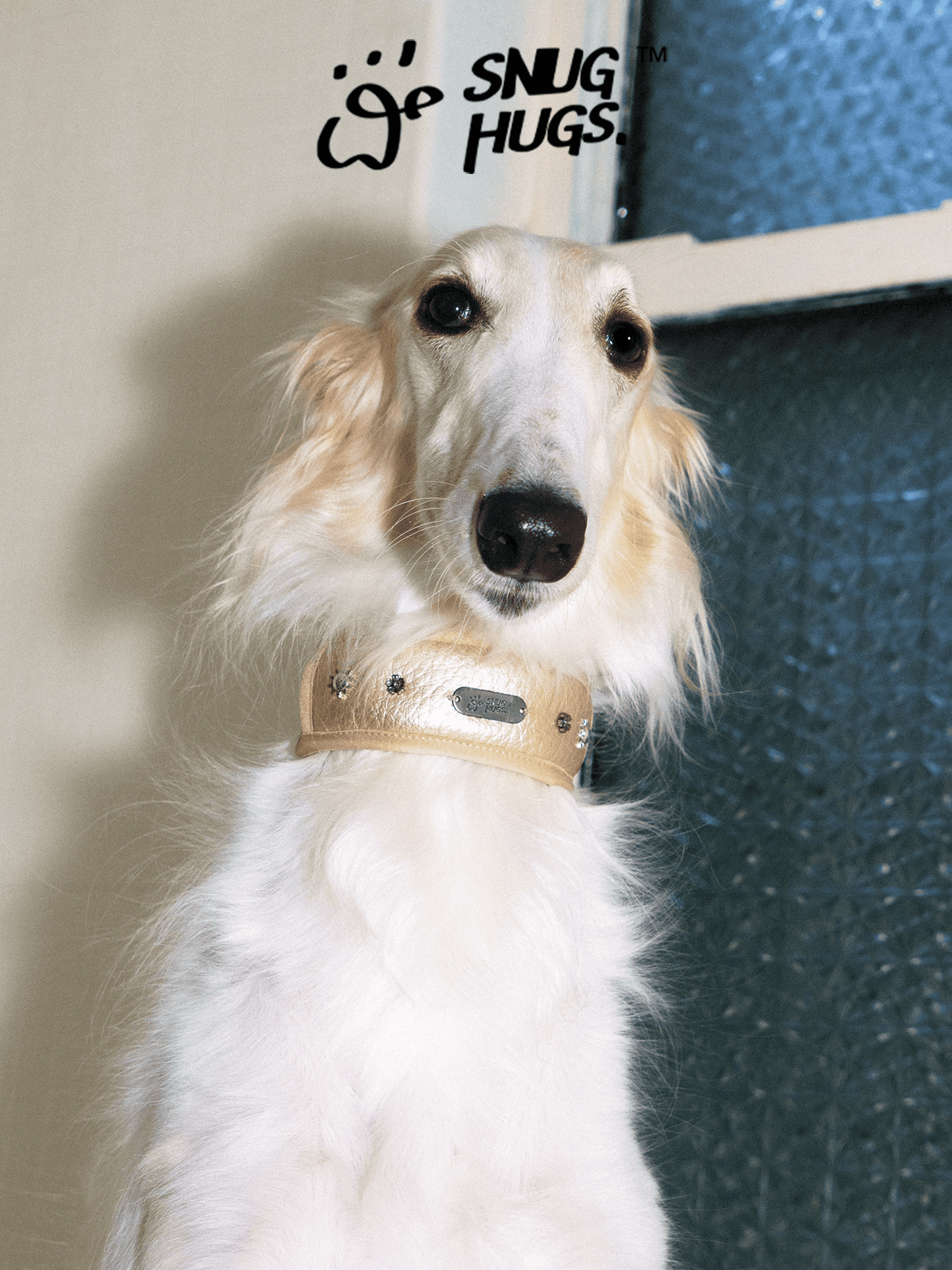 SnugHugs Wide Breathable Dog Collar – Candlelight Gold Candlelight Gold 8