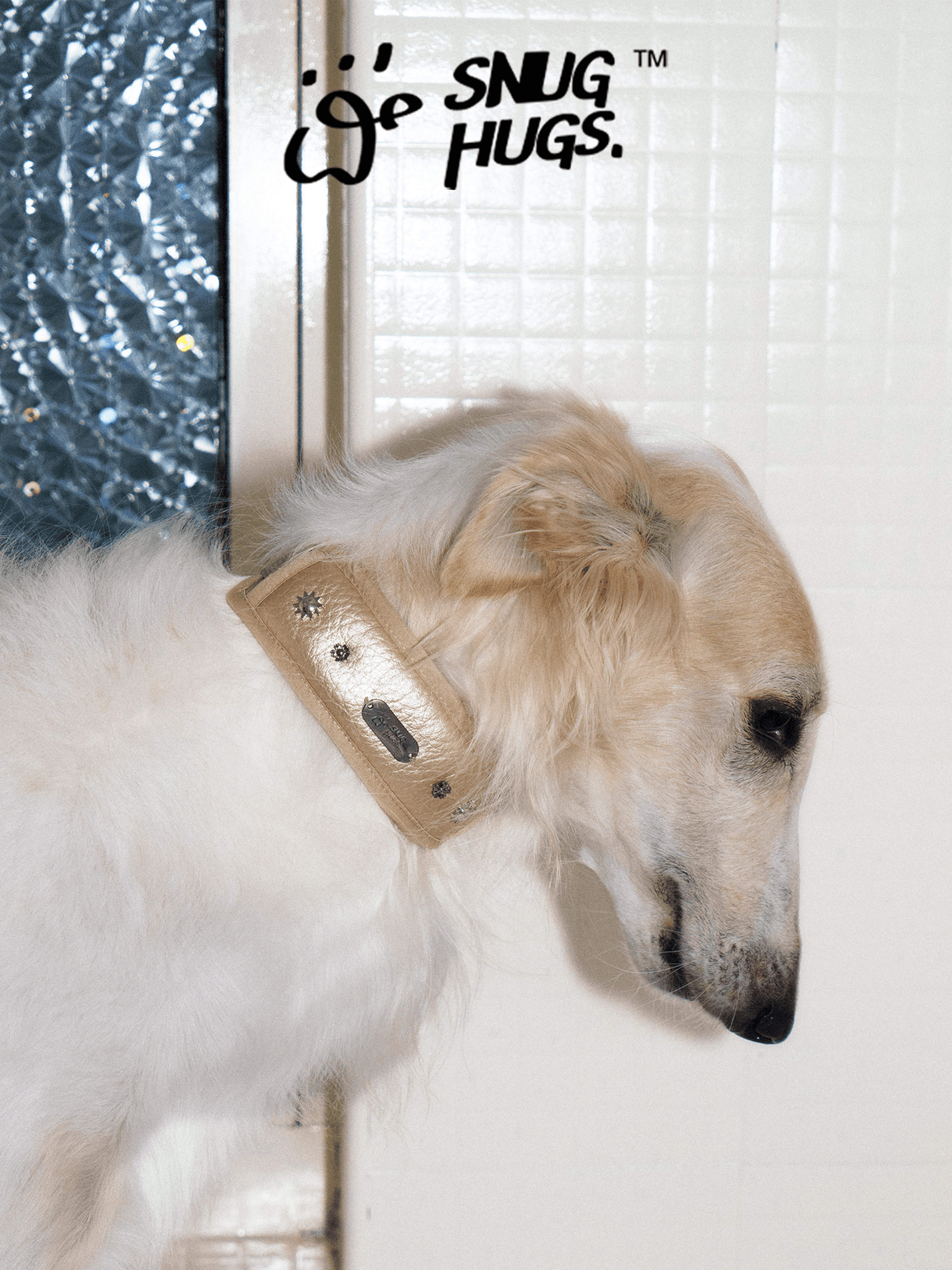 SnugHugs Wide Breathable Dog Collar – Candlelight Gold Candlelight Gold 3