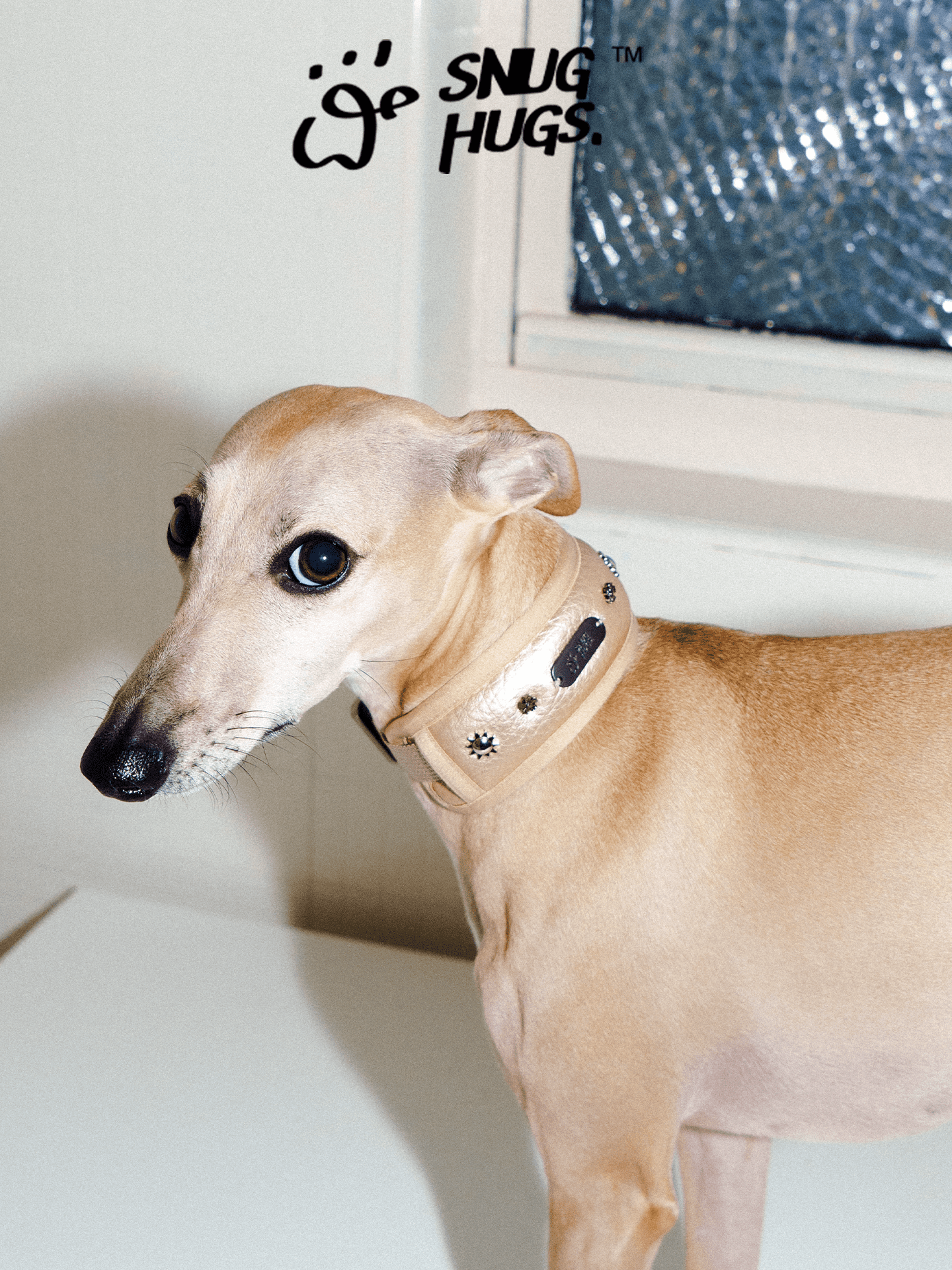 SnugHugs Wide Breathable Dog Collar – Candlelight Gold Candlelight Gold 7