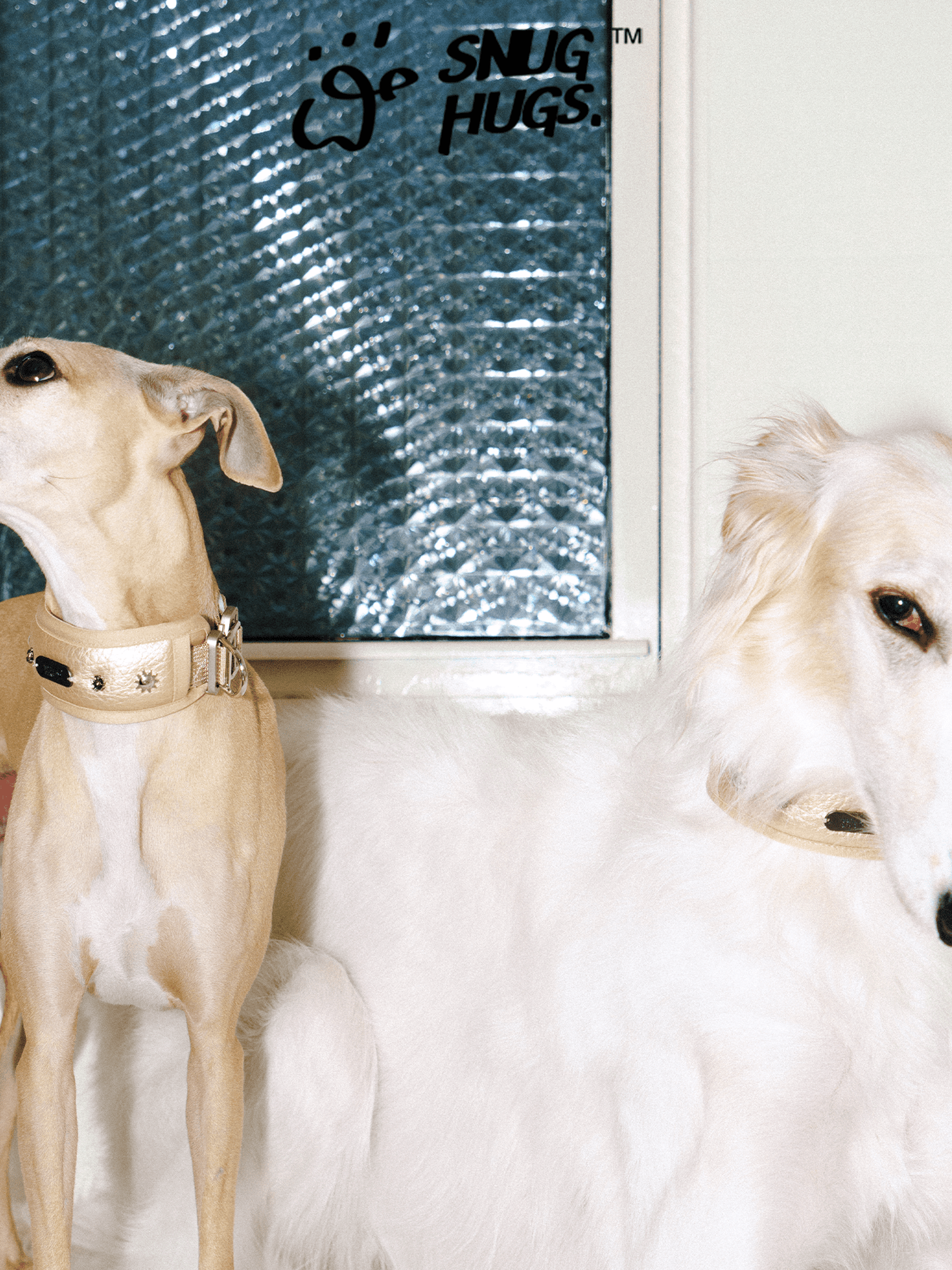 SnugHugs Wide Breathable Dog Collar – Candlelight Gold Candlelight Gold 6