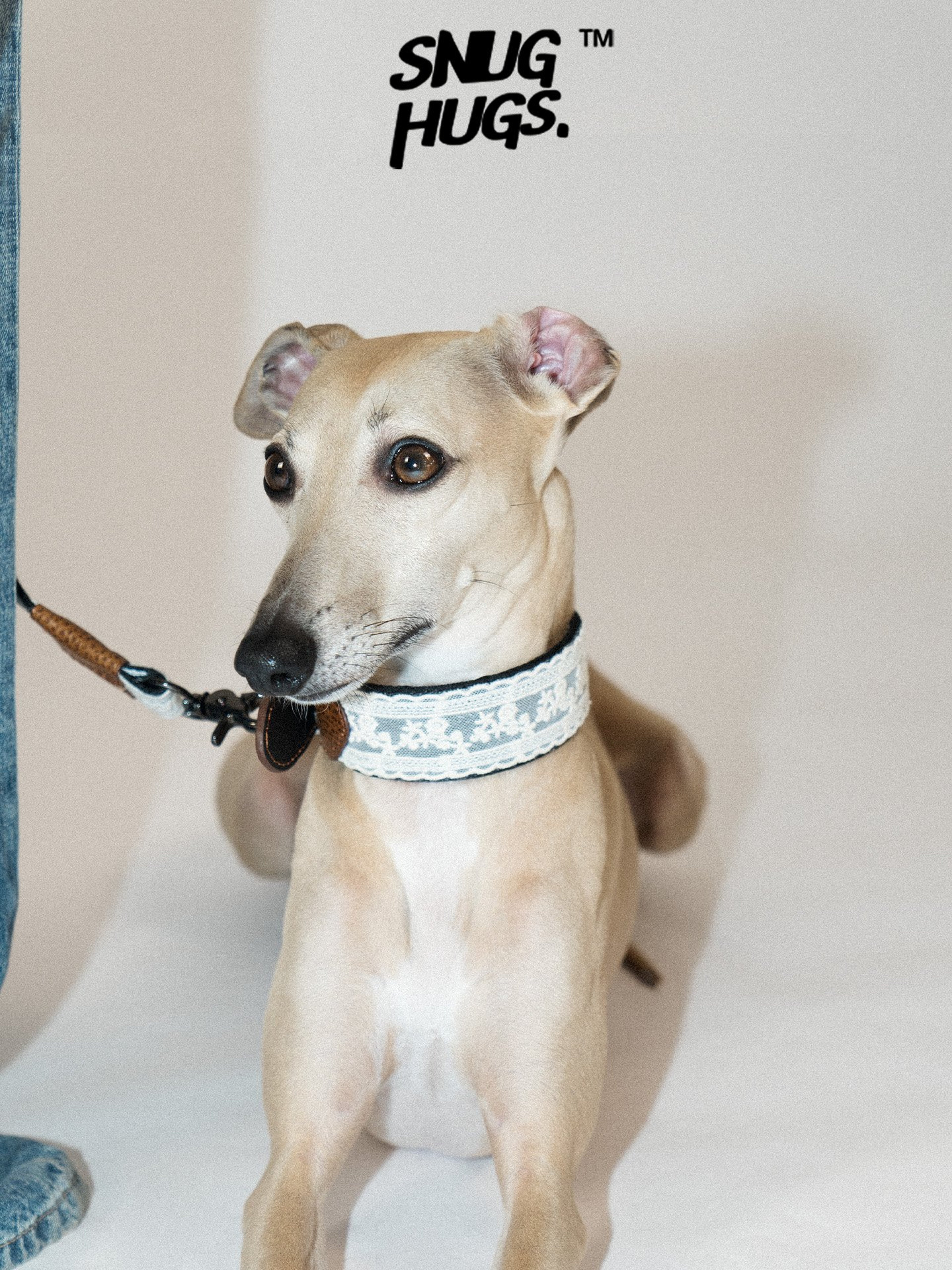SnugHugs Italian Leather Dog Collar – Lace Polka LACE 1