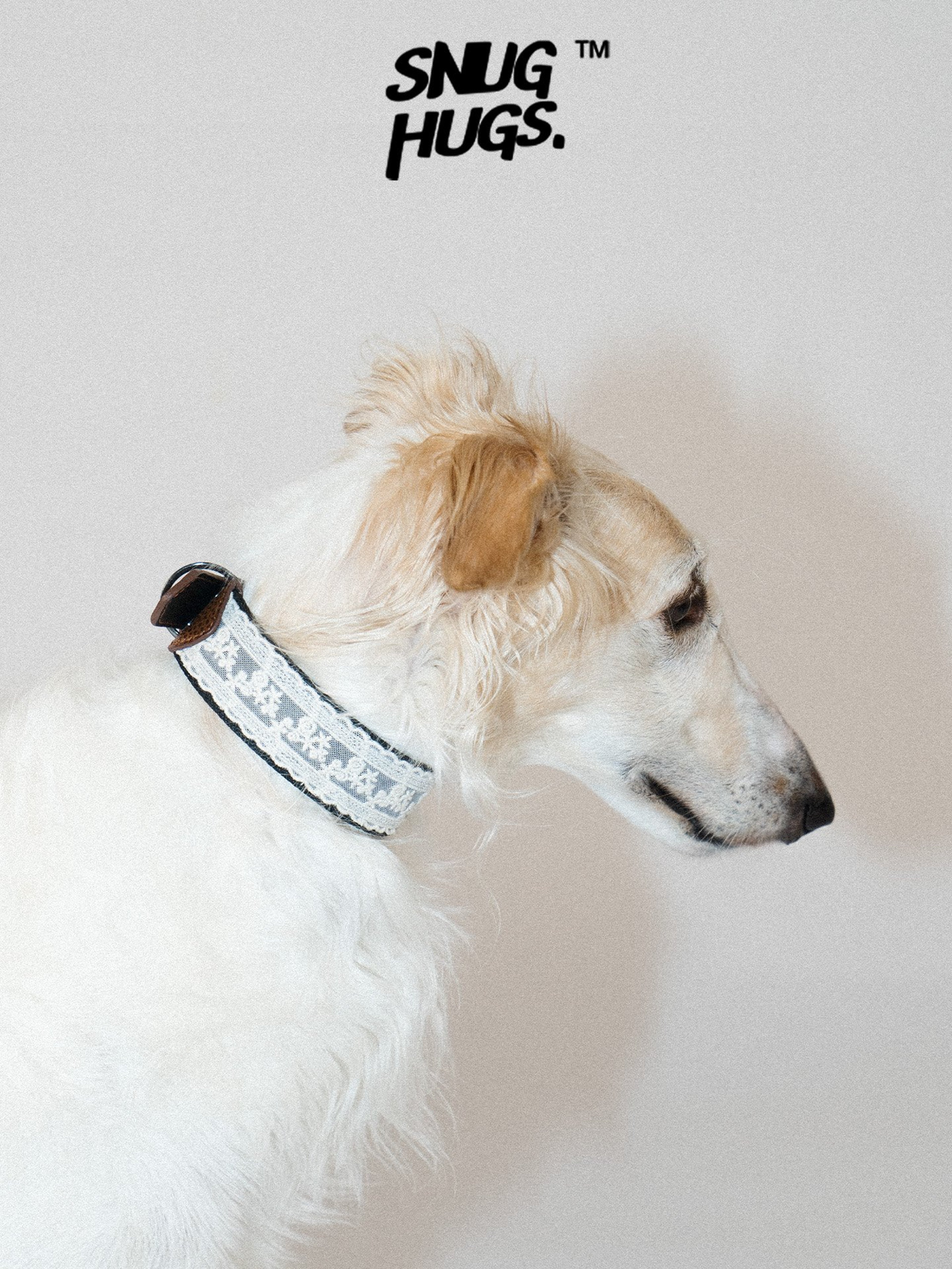 SnugHugs Italian Leather Dog Collar – Lace Polka LACE 3