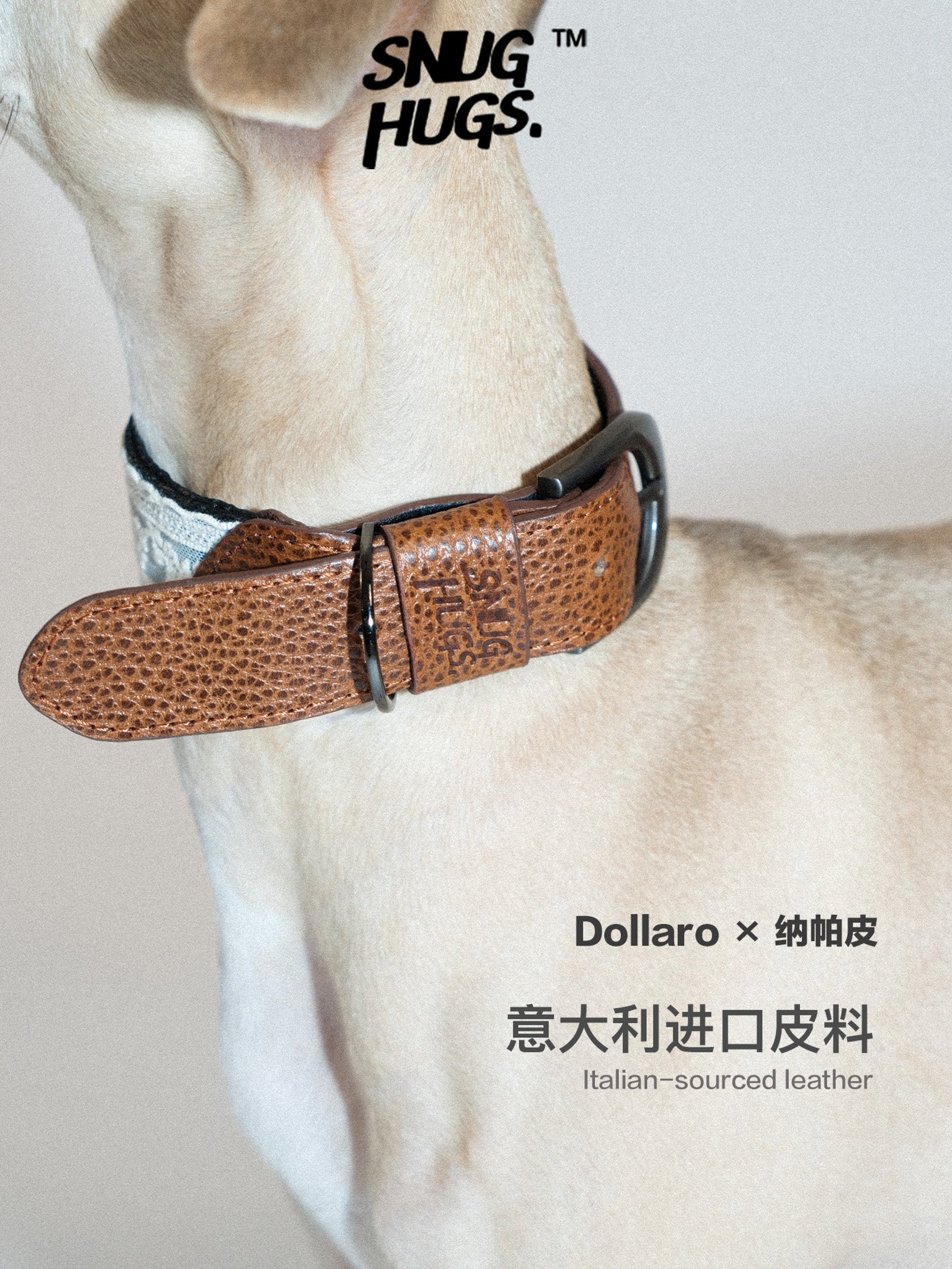 SnugHugs Italian Leather Dog Collar – Lace Polka LACE 4