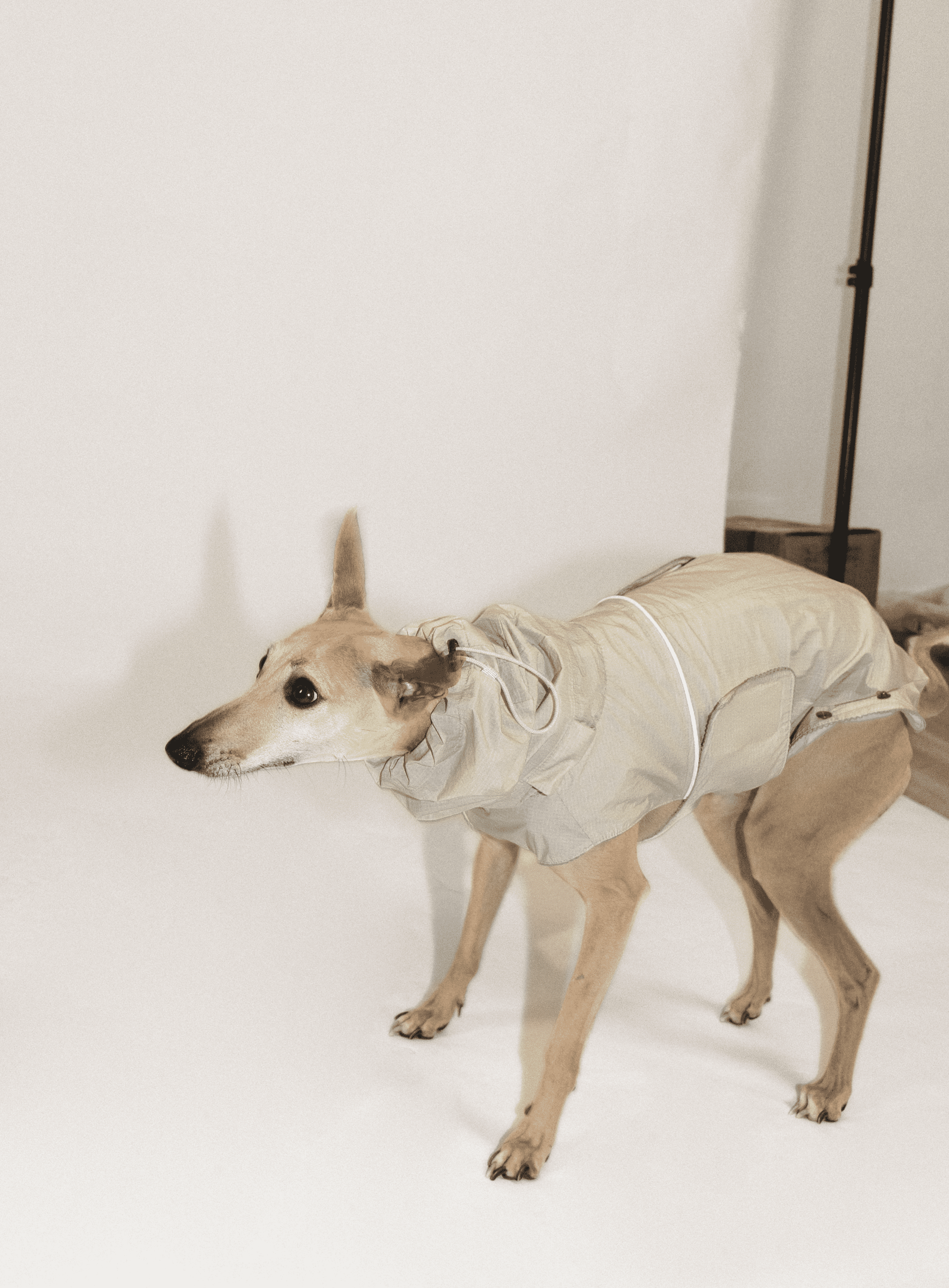 SnugHugs Lightweight Outdoor Dog Rain Jacket – Airy Moss Gray 5