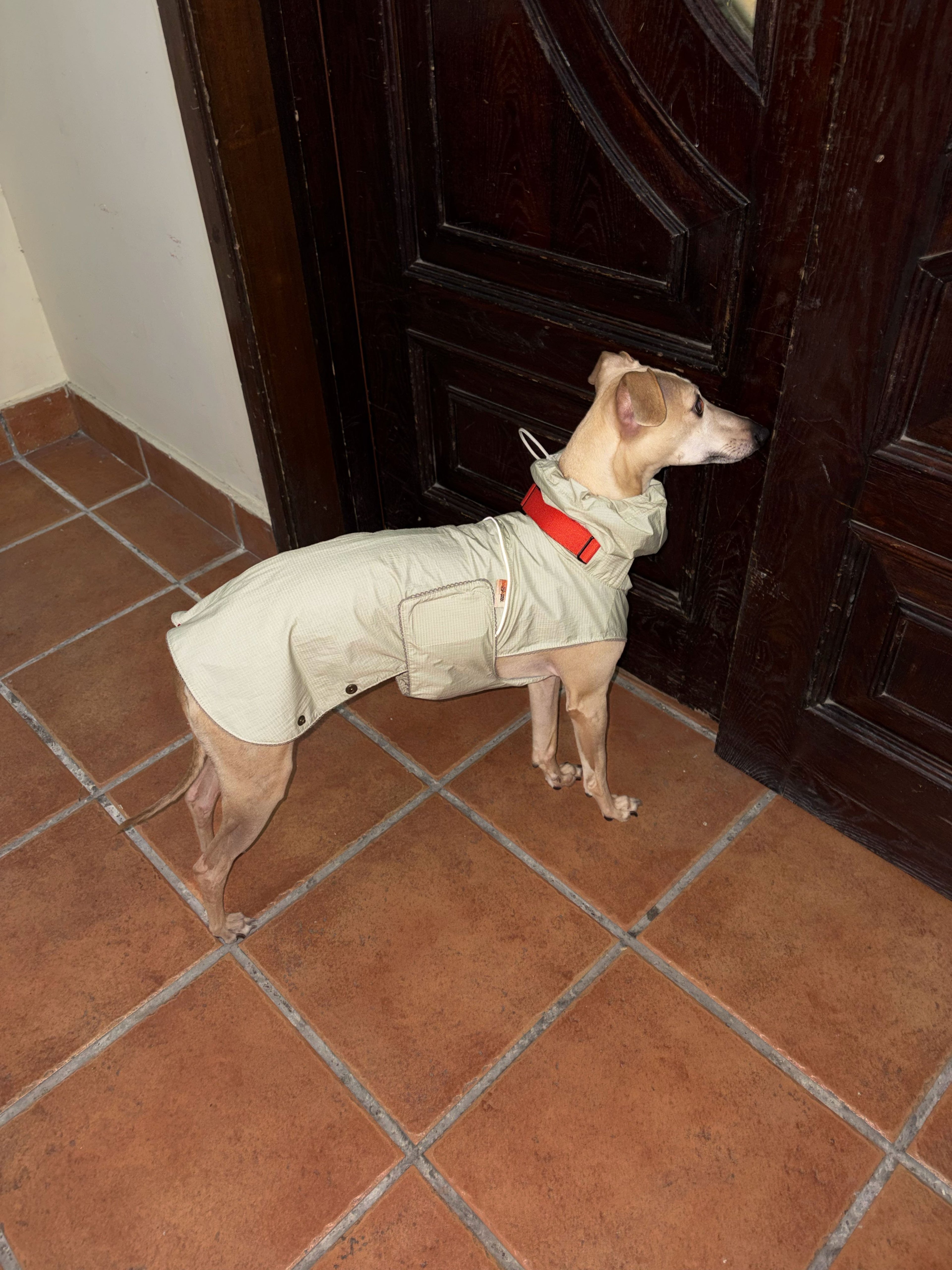 SnugHugs Lightweight Outdoor Dog Rain Jacket – Airy Moss Gray 6