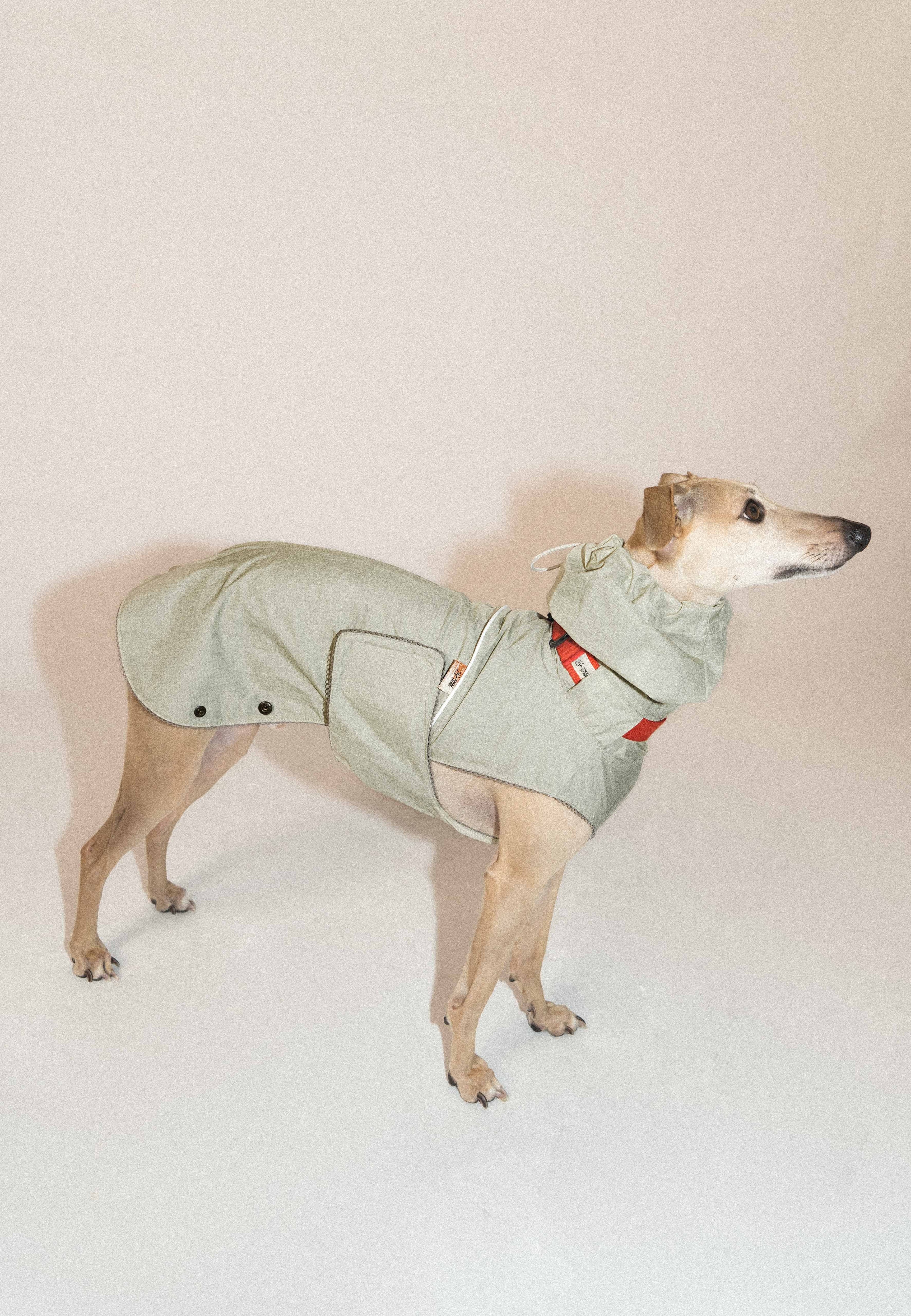 SnugHugs Lightweight Outdoor Dog Rain Jacket – Airy Moss Gray 3