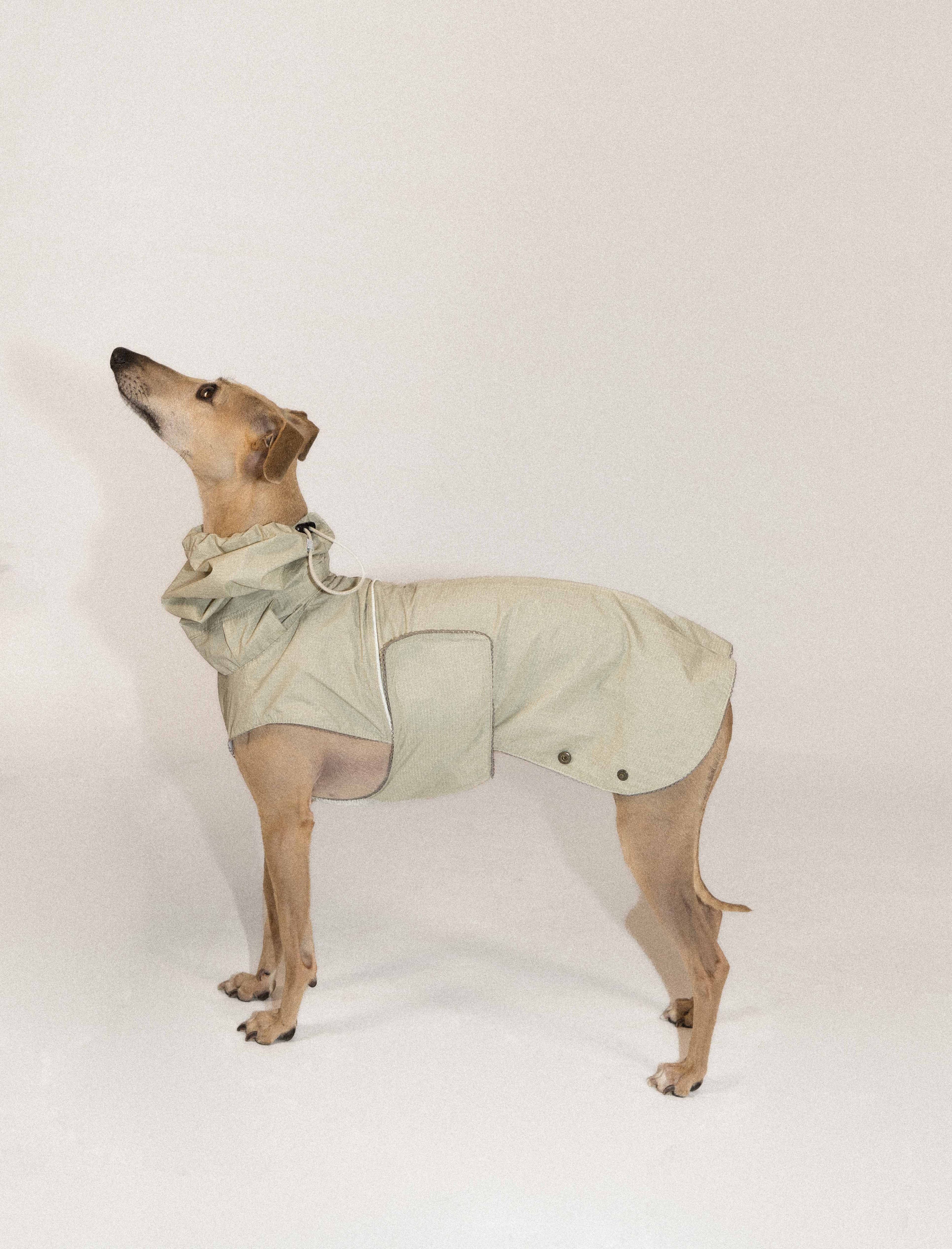 SnugHugs Lightweight Outdoor Dog Rain Jacket – Airy Moss Gray 1
