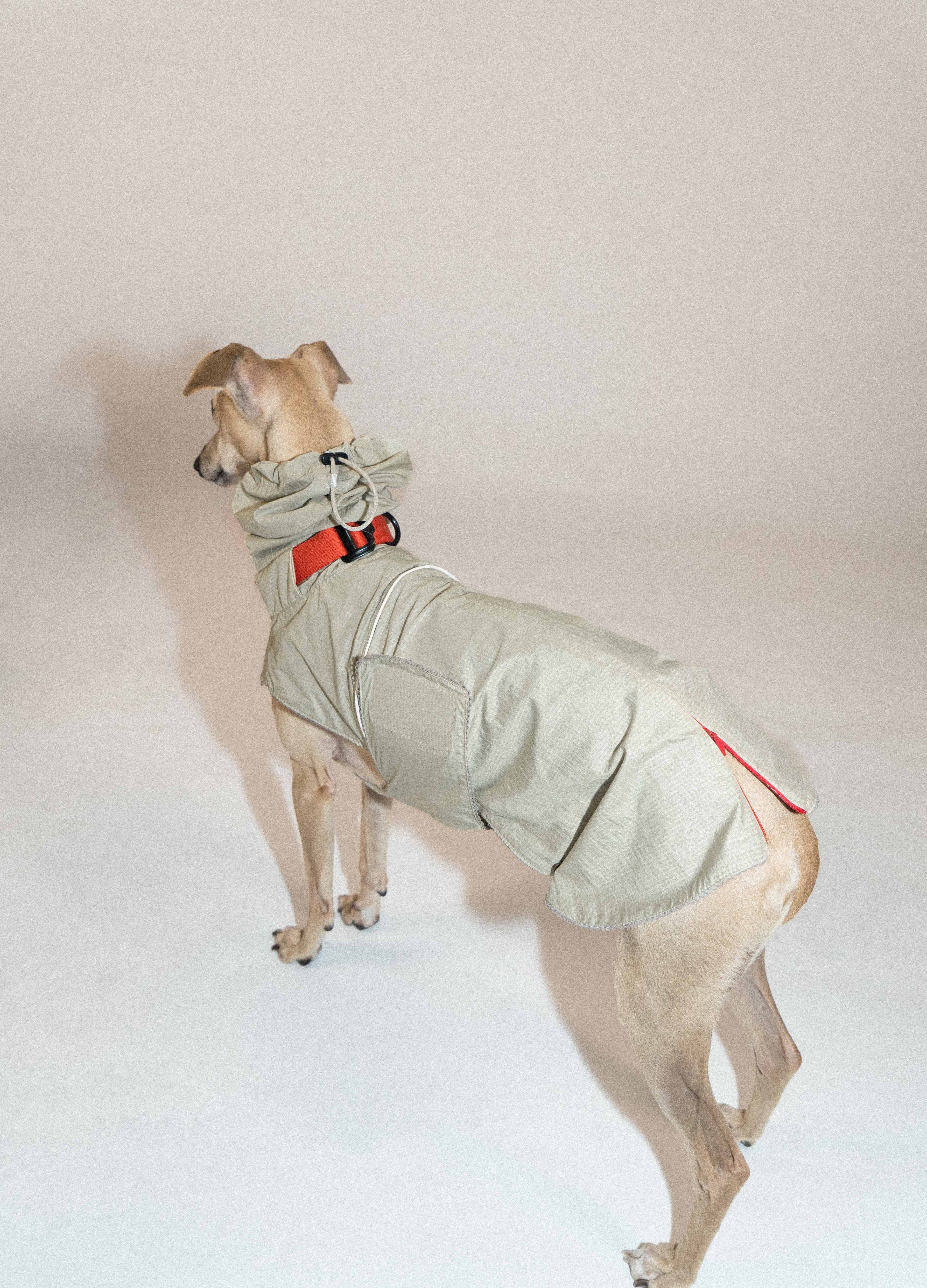 SnugHugs Lightweight Outdoor Dog Rain Jacket – Airy Moss Gray 2