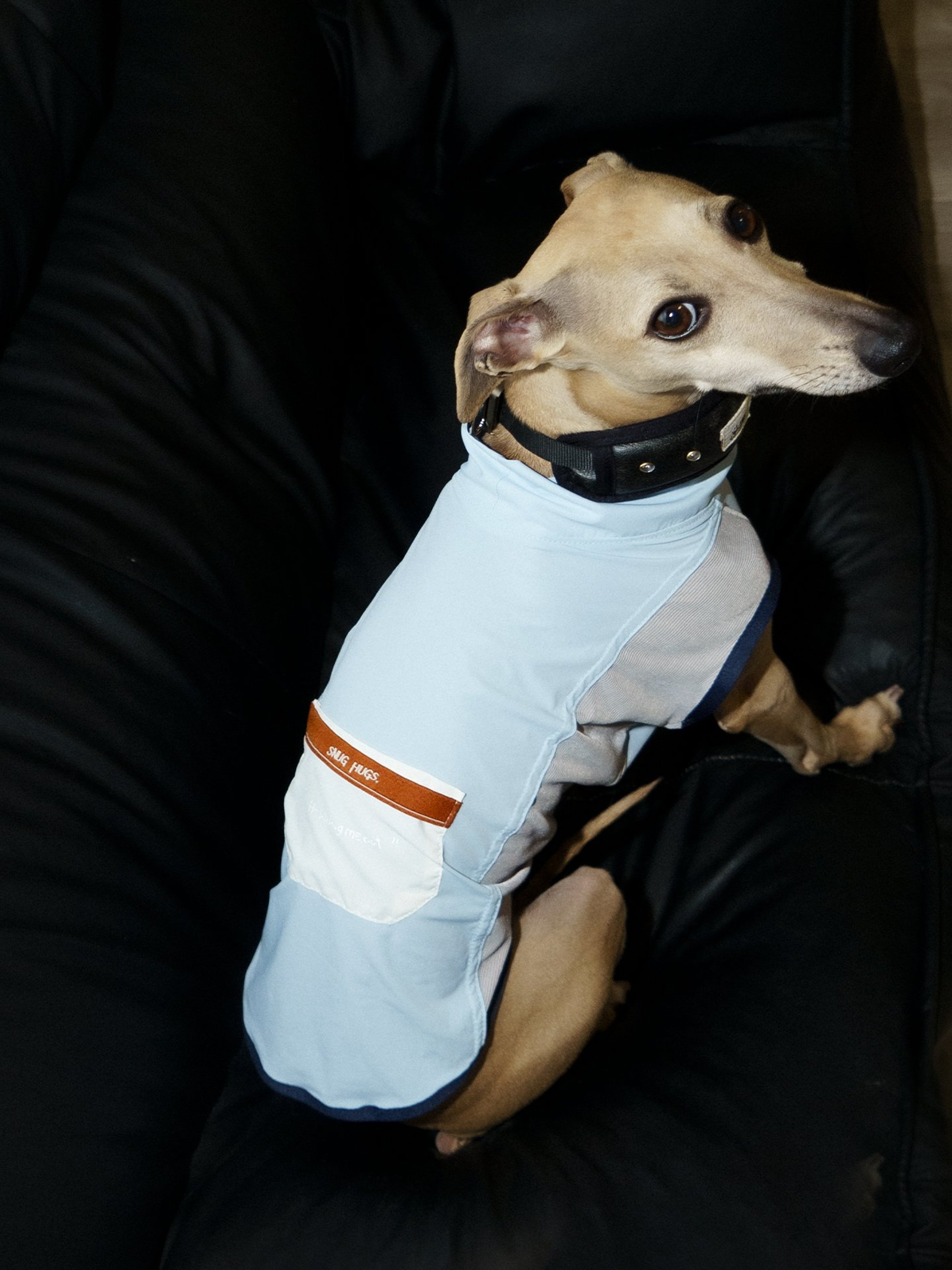 Cooling Dog Vest for Summer