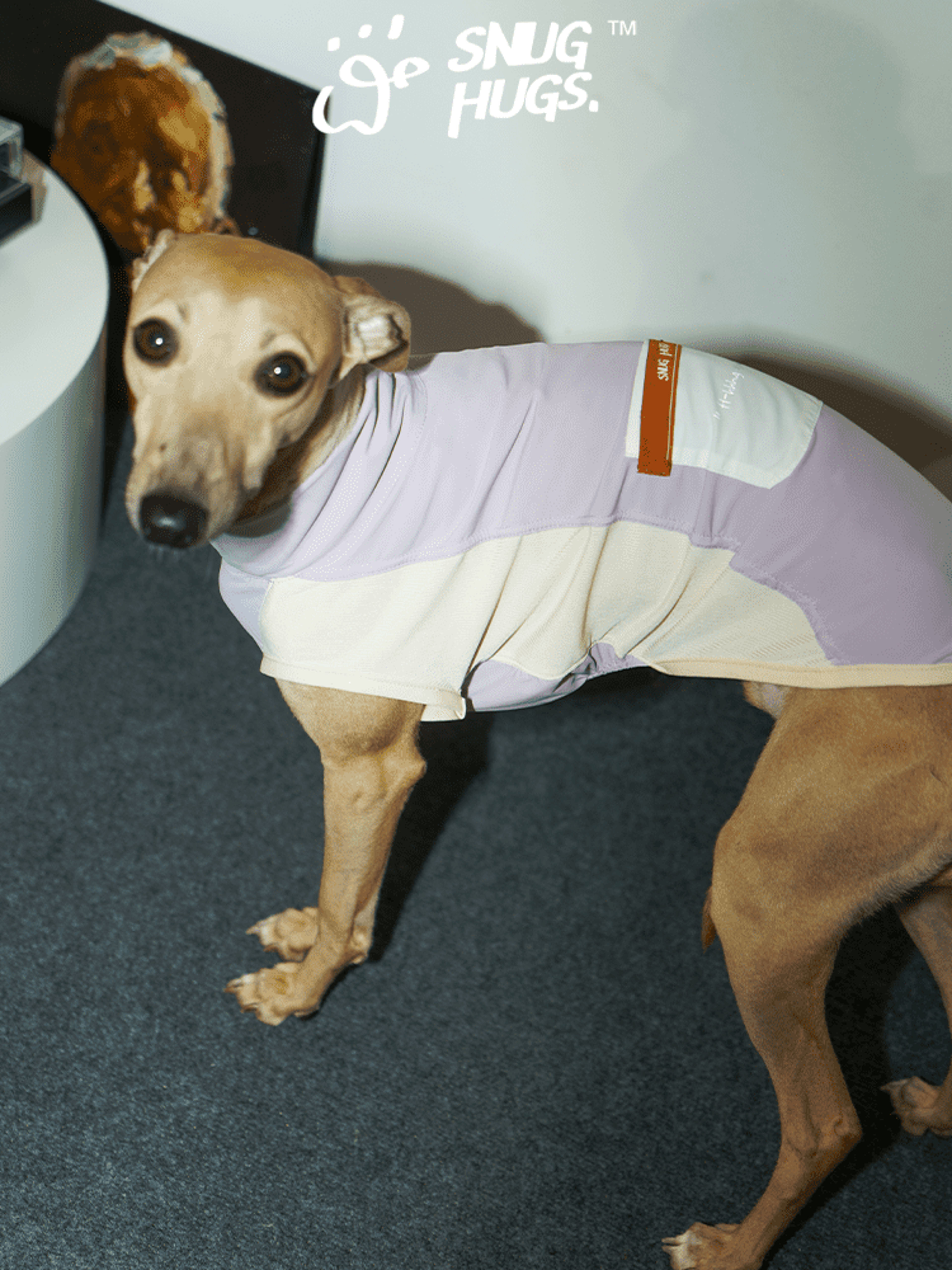 SnugHugs Cooling Dog Vest for Summer Lavender Mist 6