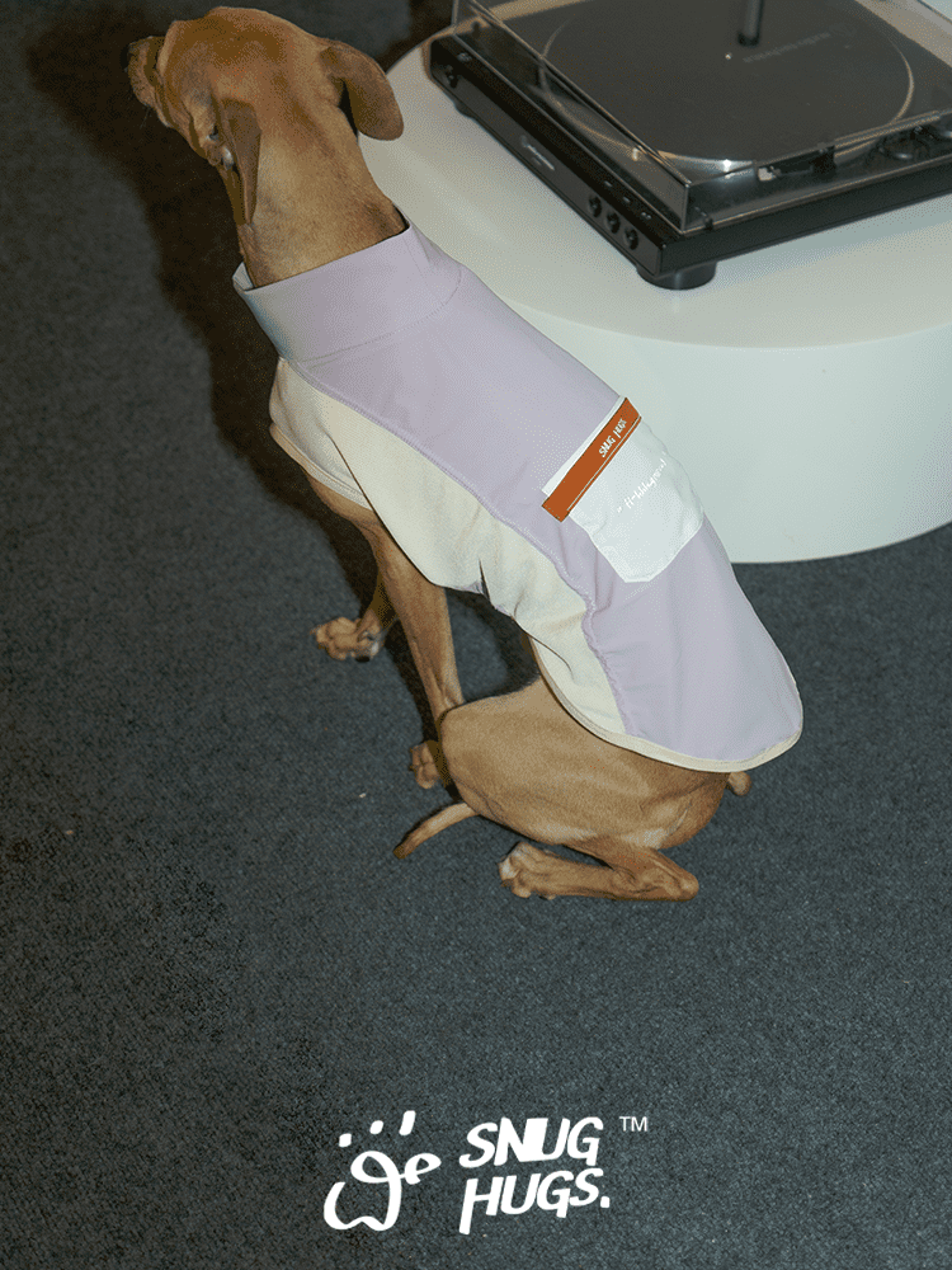 SnugHugs Cooling Dog Vest for Summer Lavender Mist 5