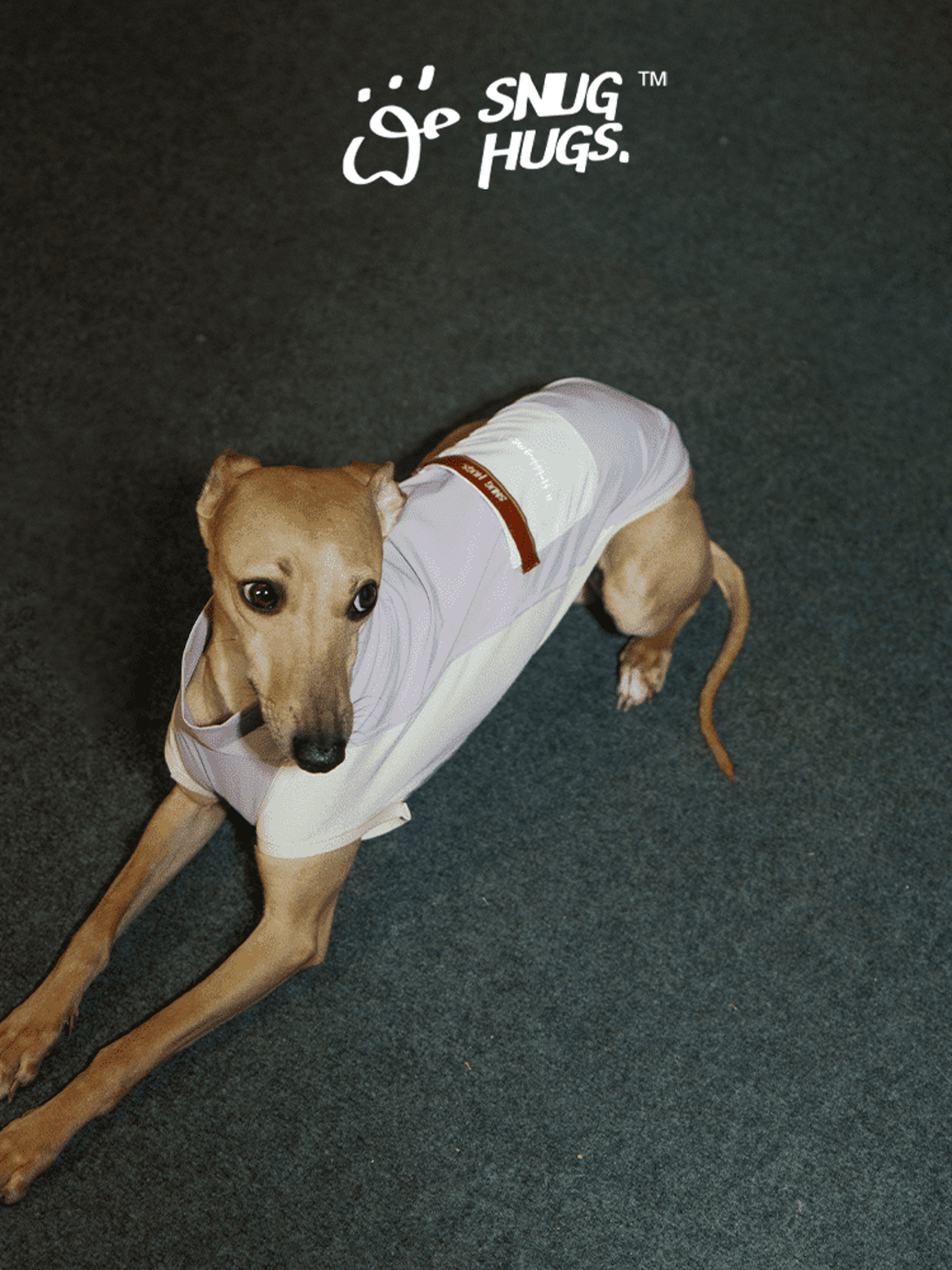 SnugHugs Cooling Dog Vest for Summer Lavender Mist 3