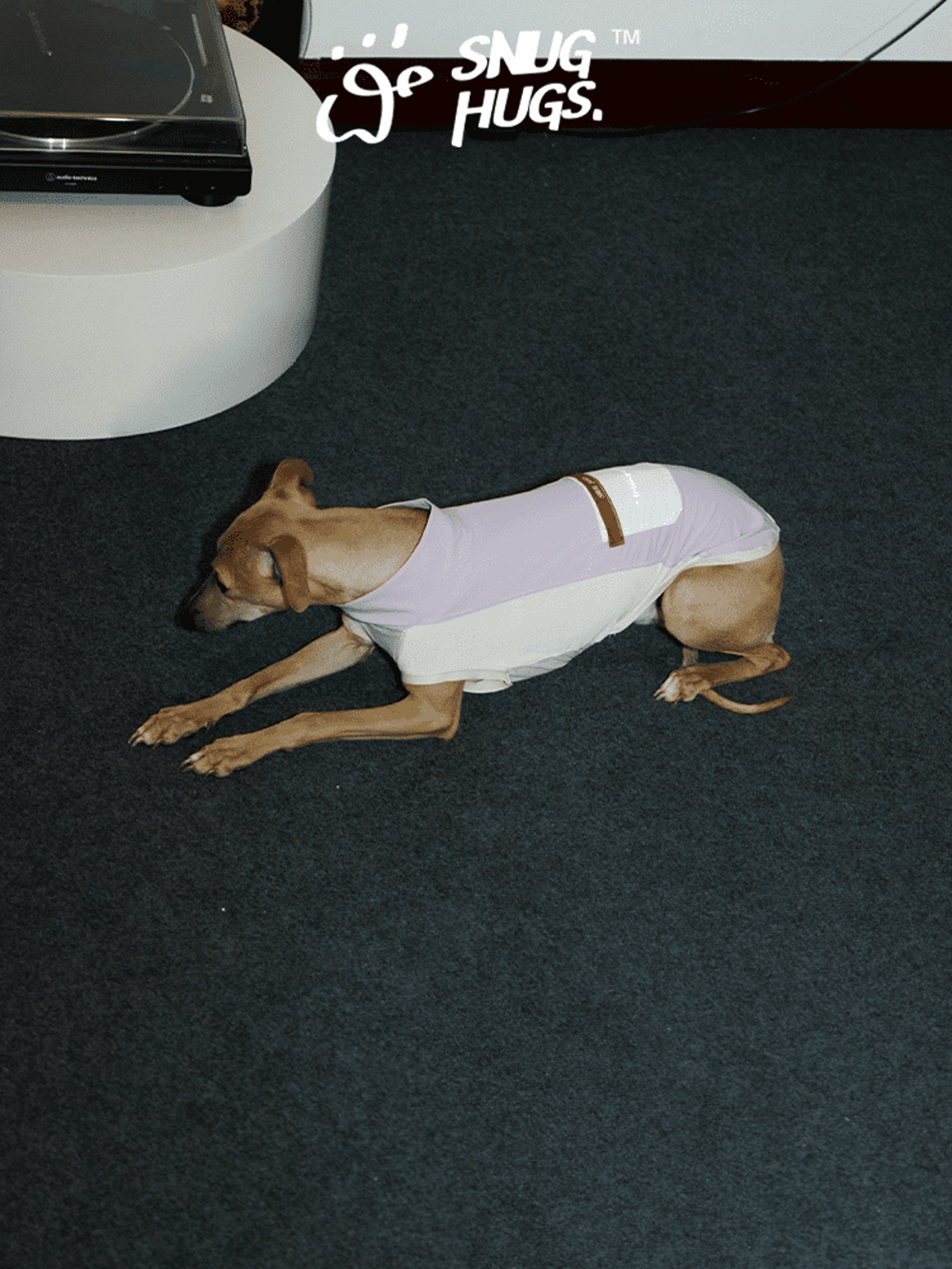 SnugHugs Cooling Dog Vest for Summer Lavender Mist 2